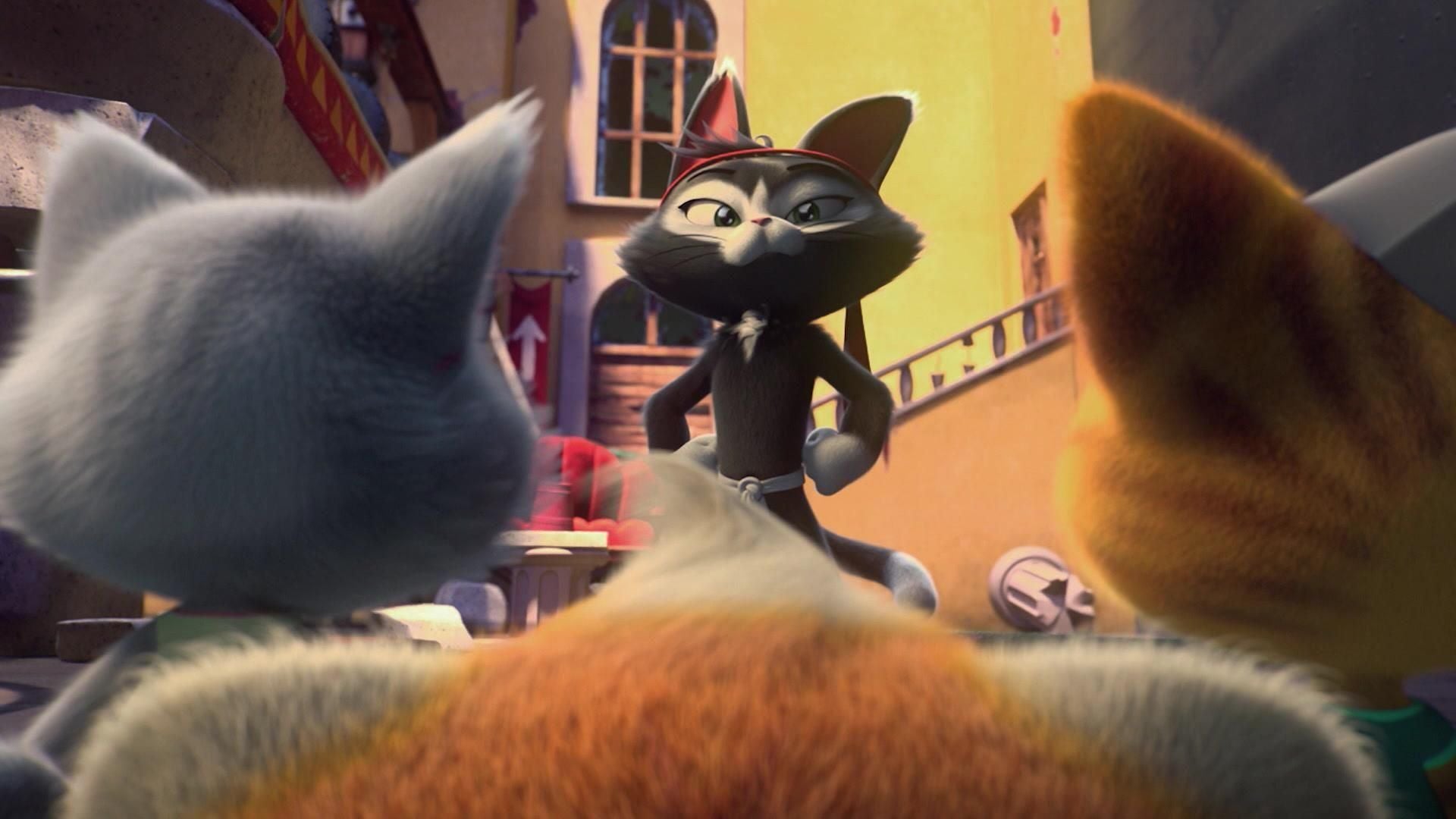 Milady und der Katz-Fu-Meister