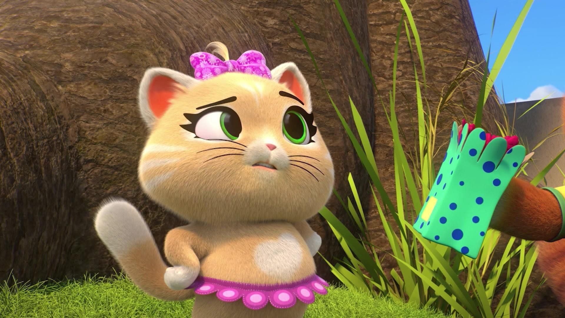 Piperita, die Küchenkatze