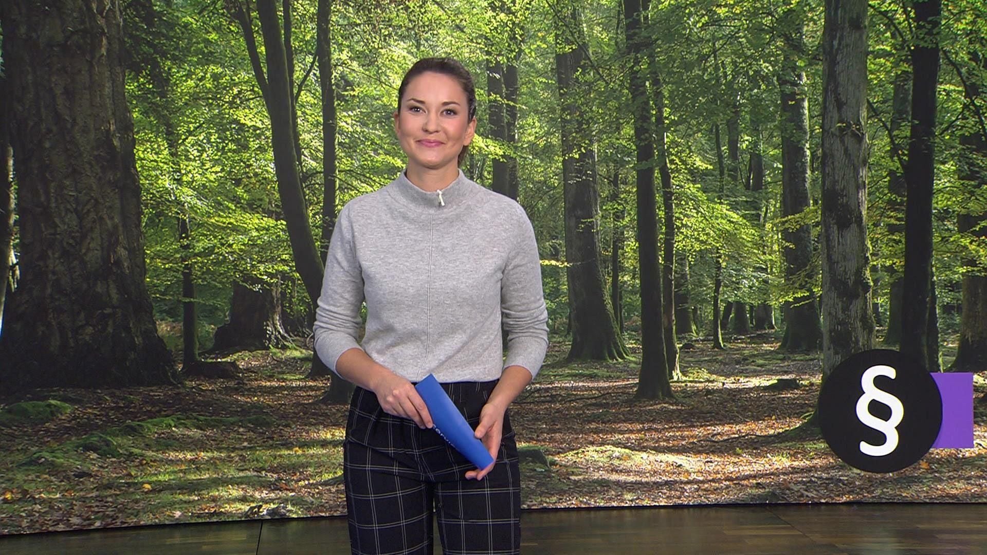 Thema u. a.: Überlaufene Wälder - In Naturparks drohen Bußgelder