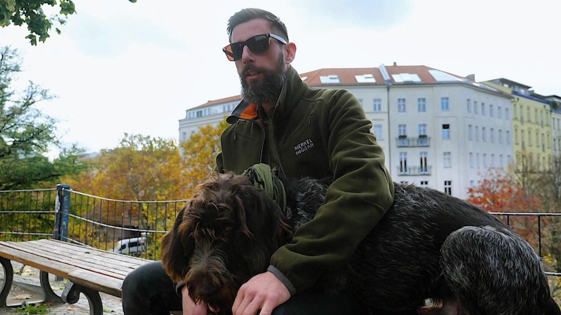 Wildtiere: Raus aus dem Wald, rein in die Stadt