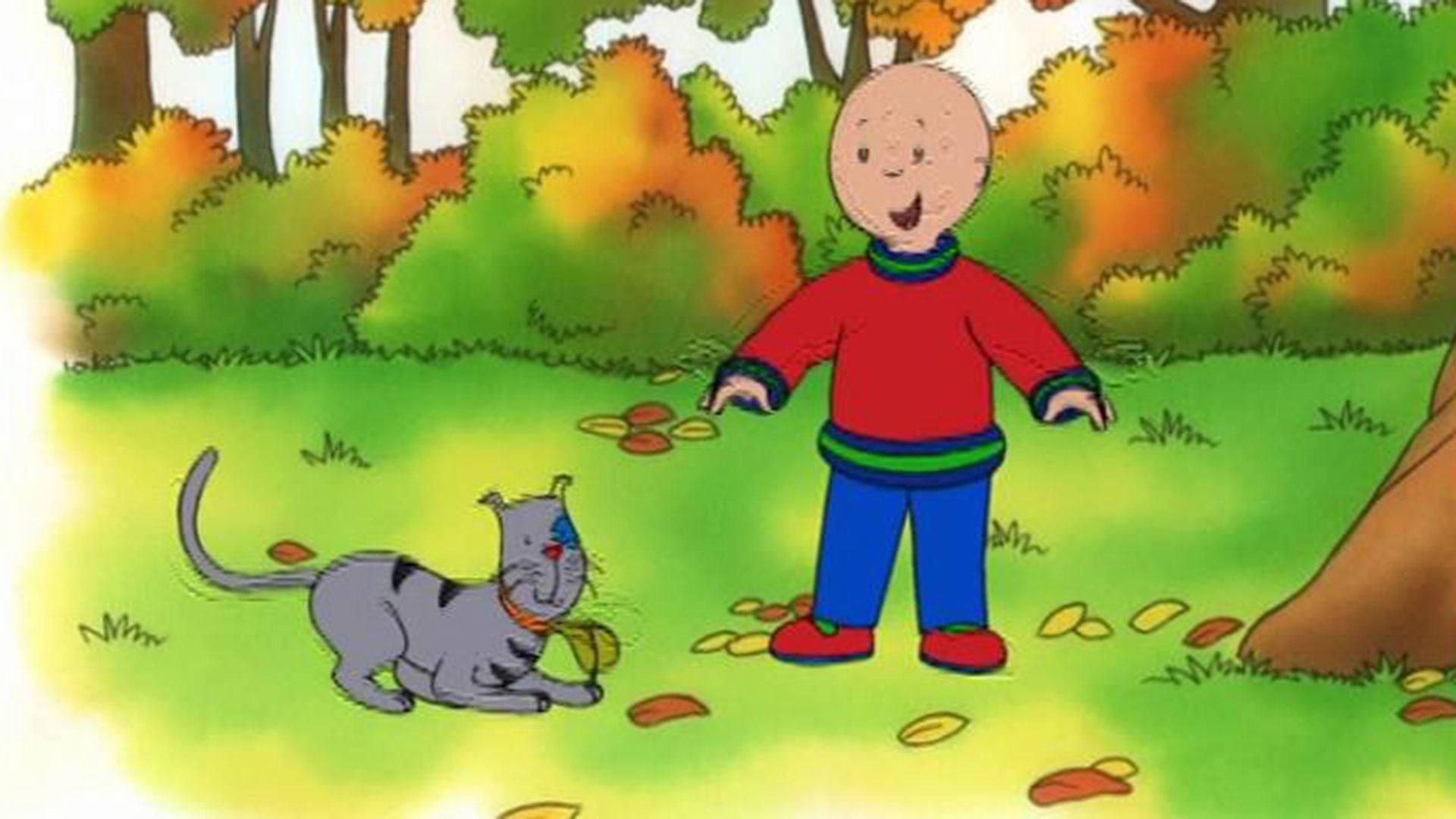 Eins, Zwei, Bumm! / Auf in den Wald / Malermeister Caillou / Caillous Erntedankfest