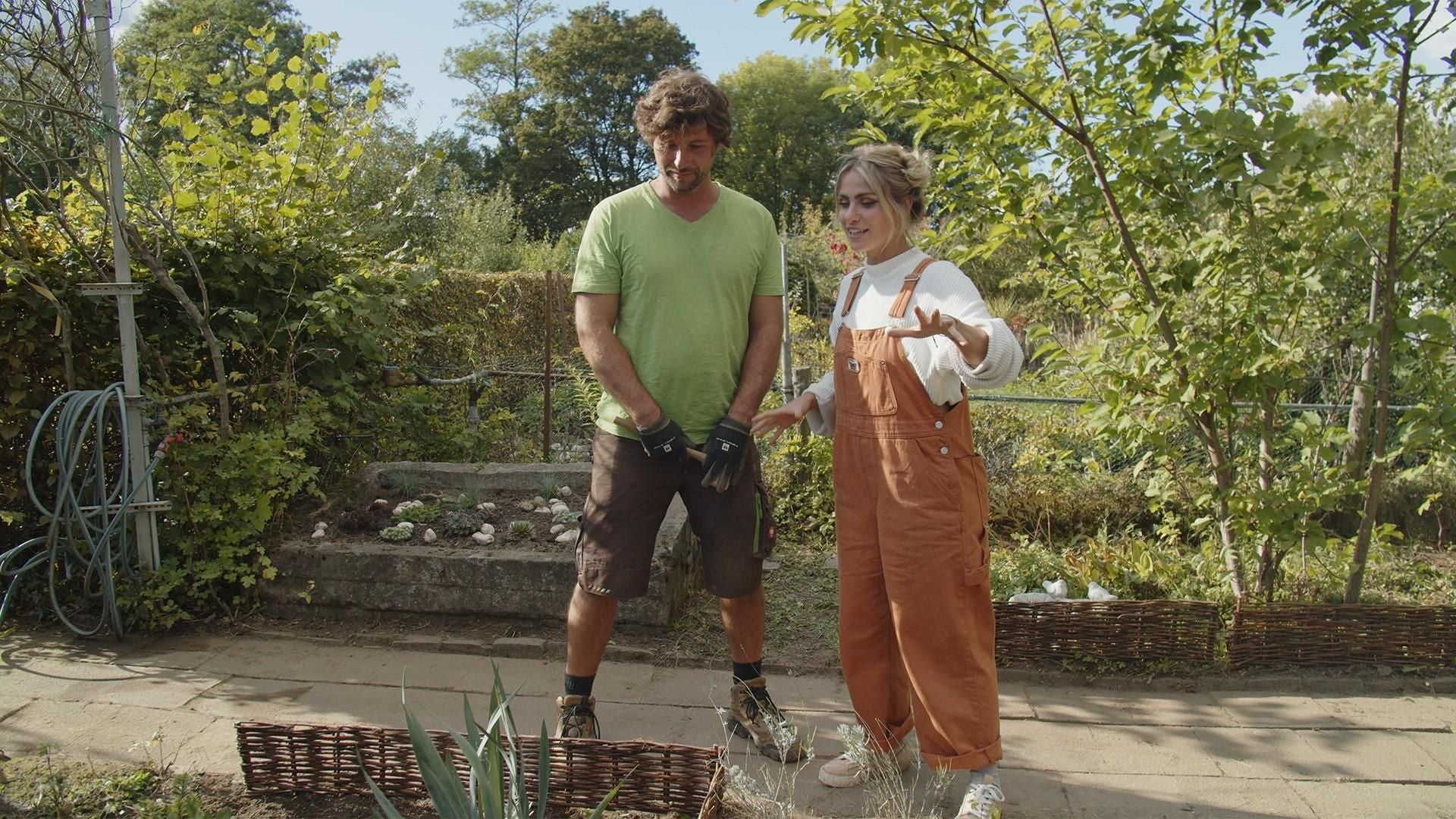 Urban Jungle: Grün auf kleinstem Raum
