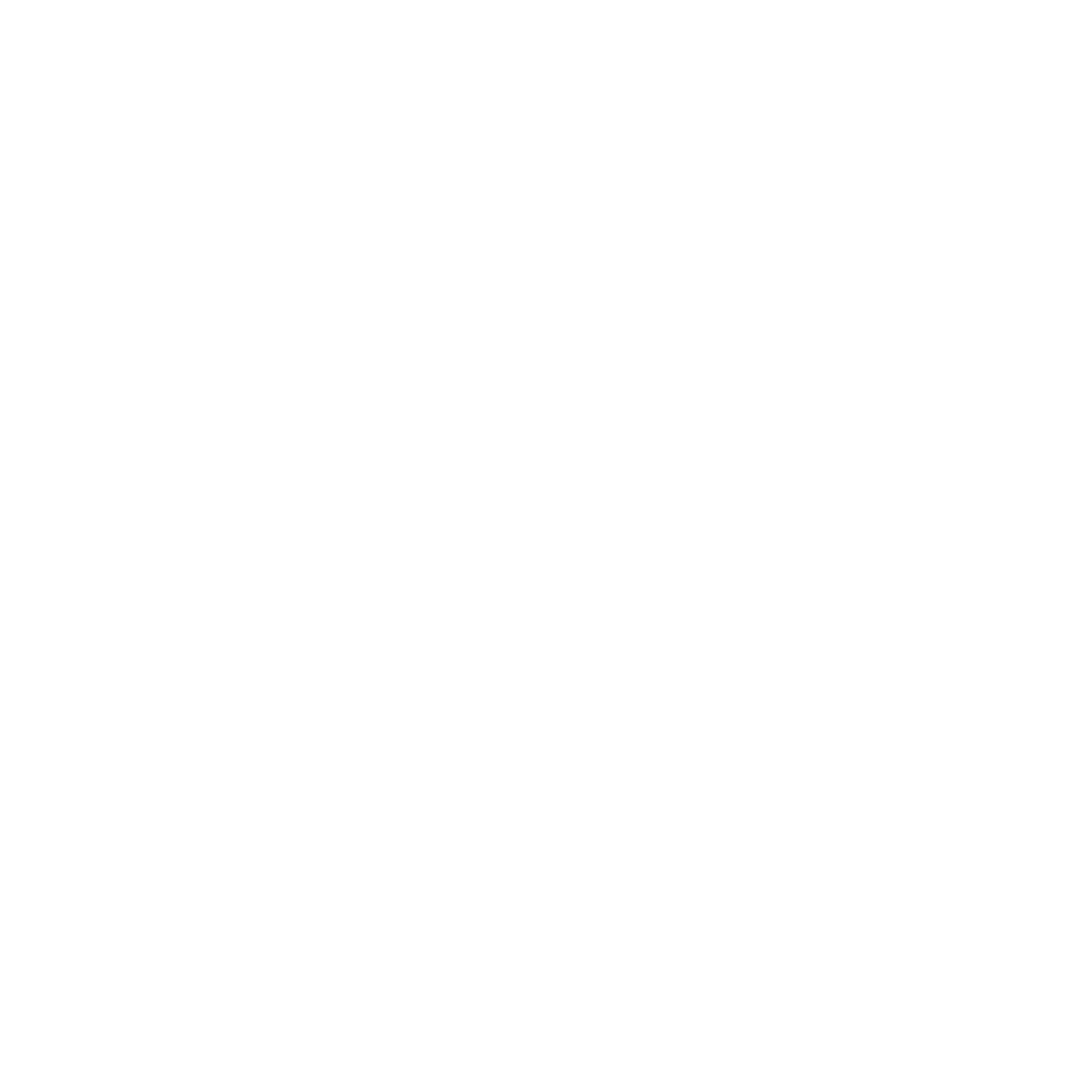 Christmas at the Plaza - Verliebt in New York