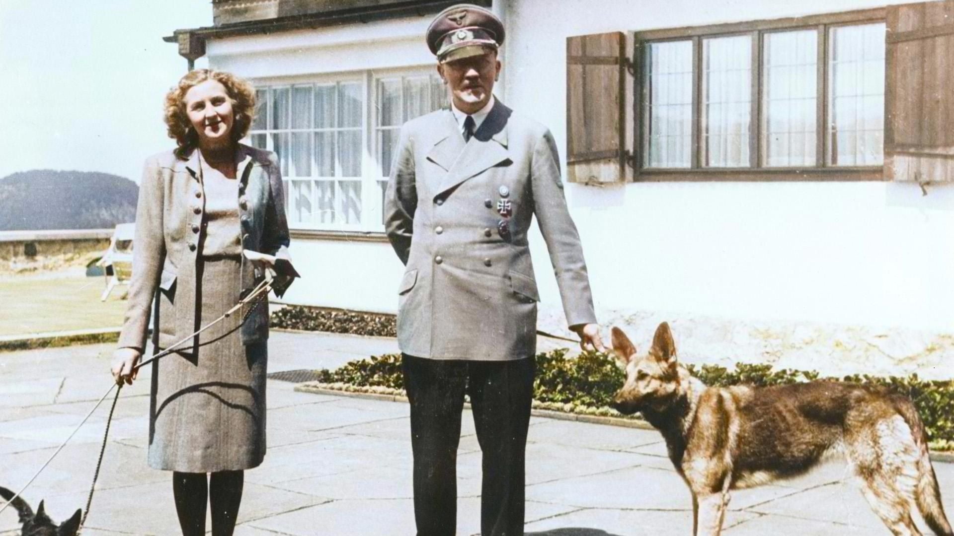 Mit Hitler in den Untergang