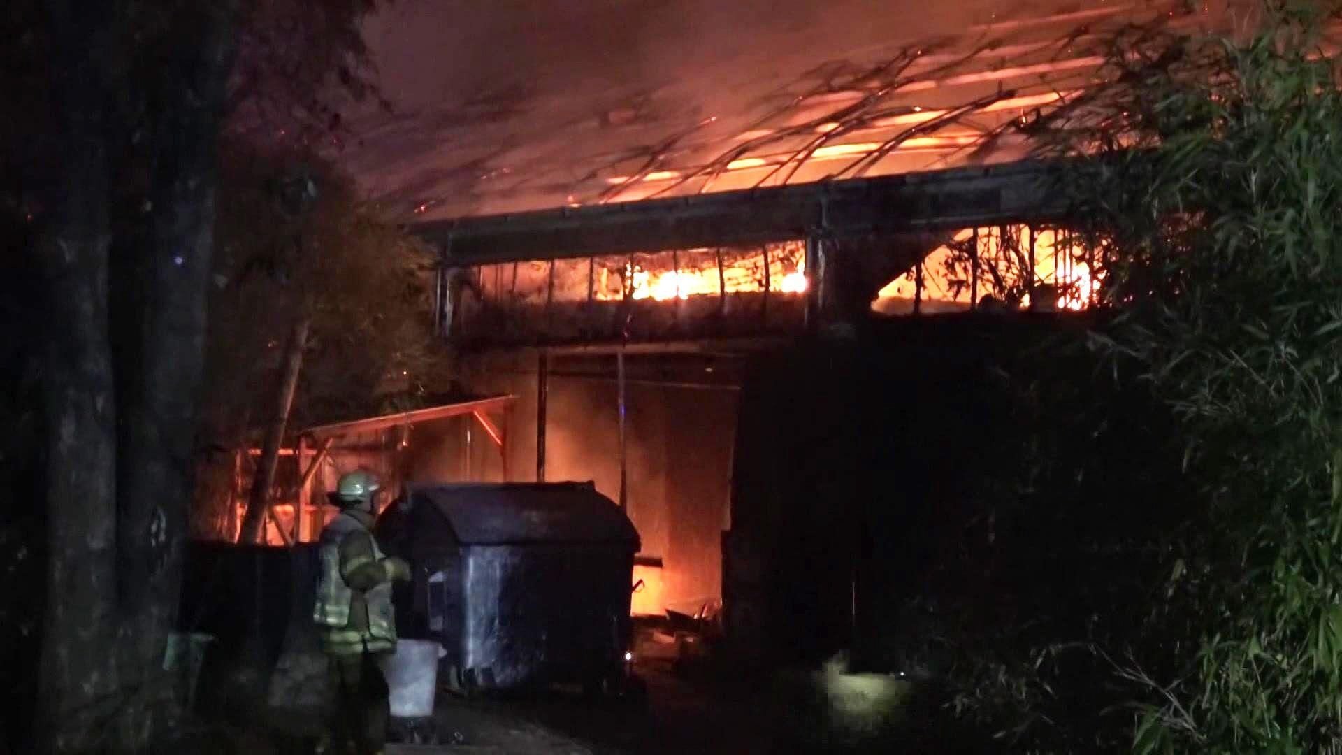 U. a.: Der Brand im Krefelder Affentropenhaus