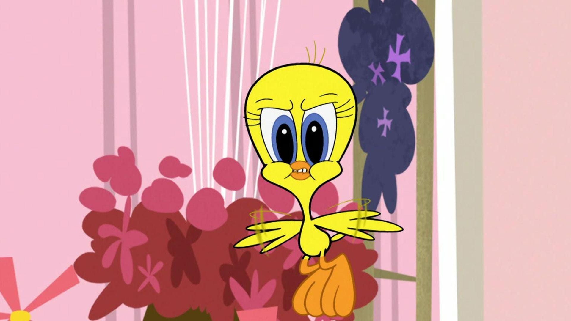 Daffy Duck in der Benimmschule / Museumsbesuch
