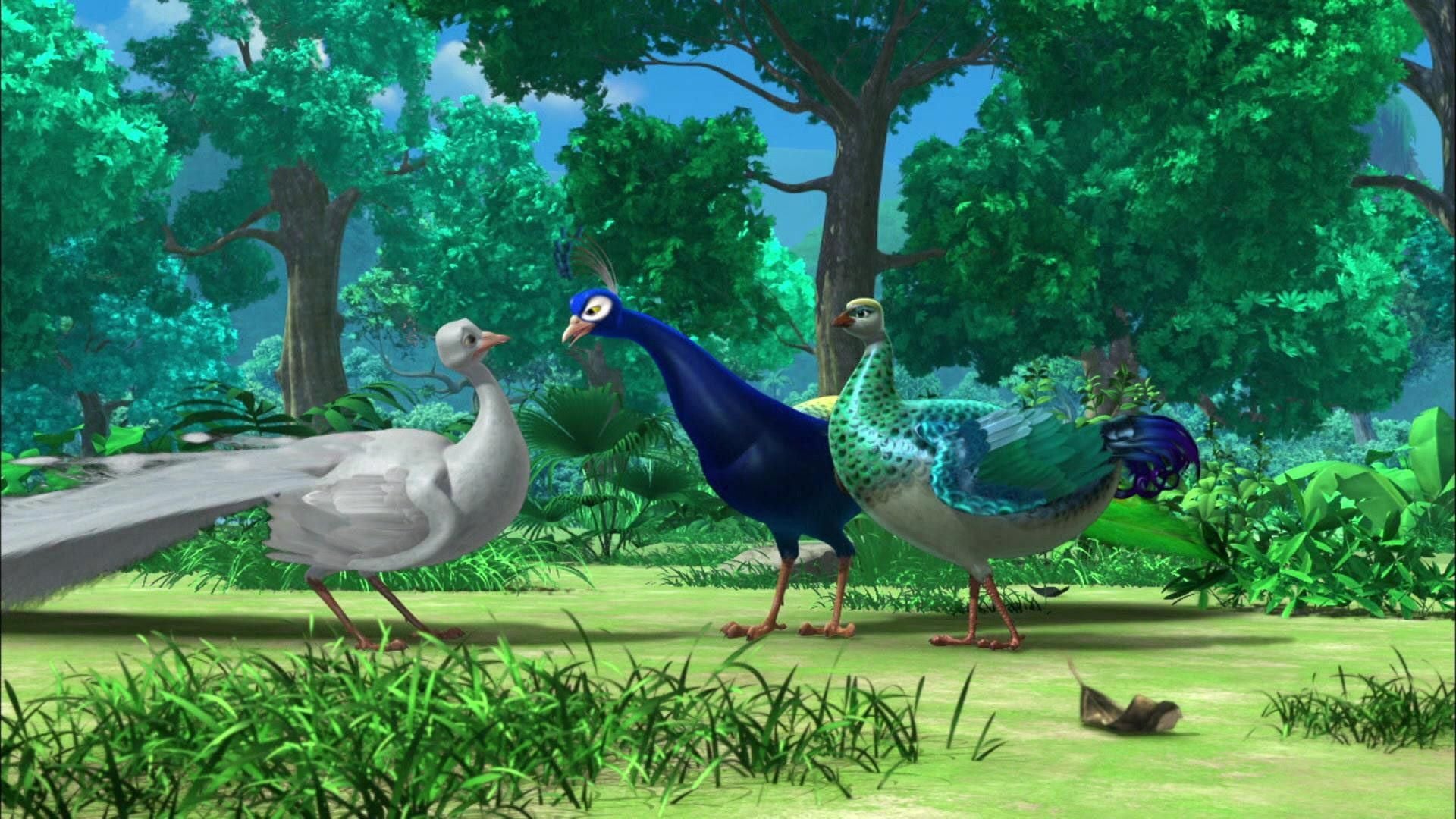 Der weiße Pfau