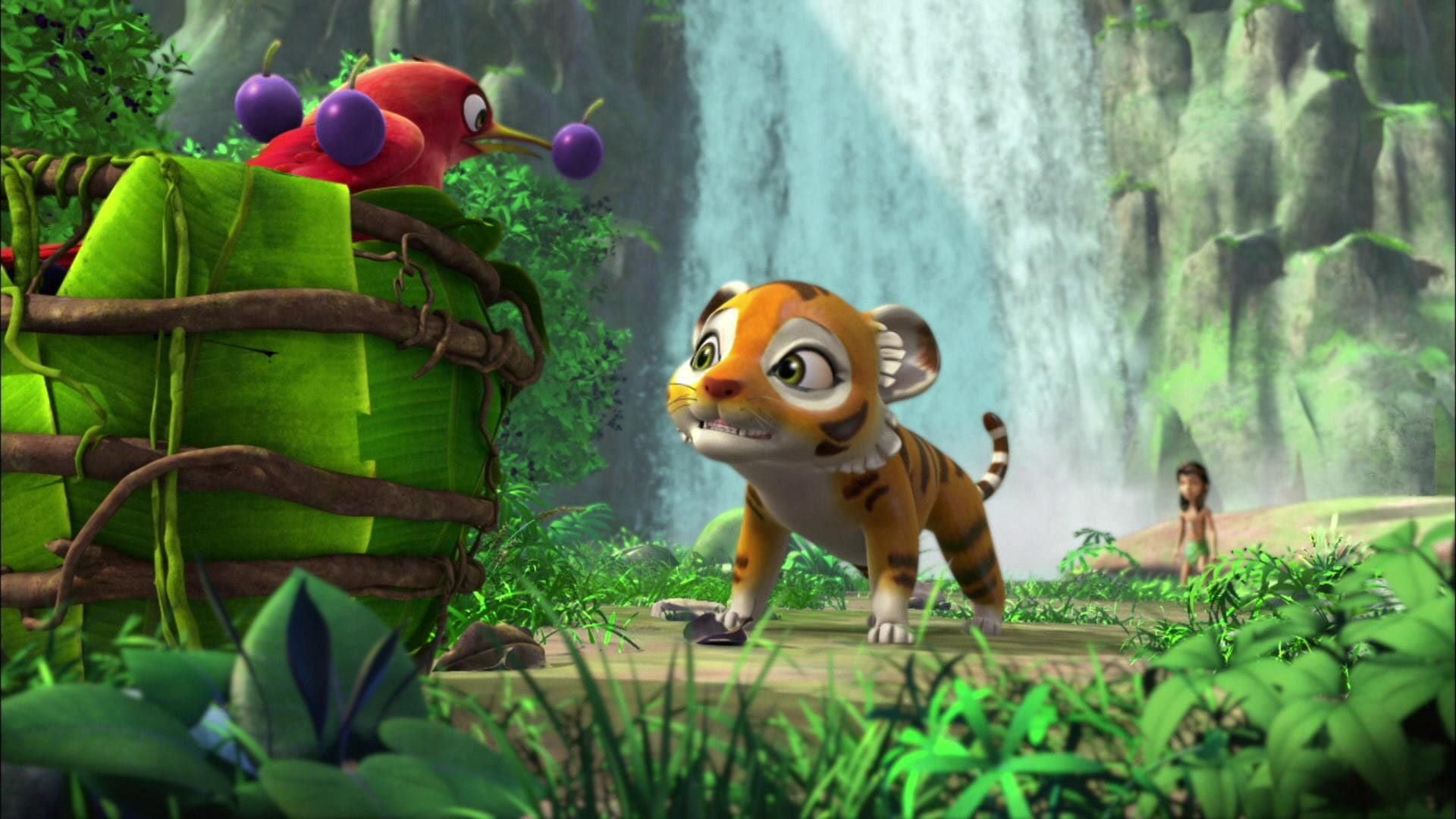 Chota, das Tigerjunge