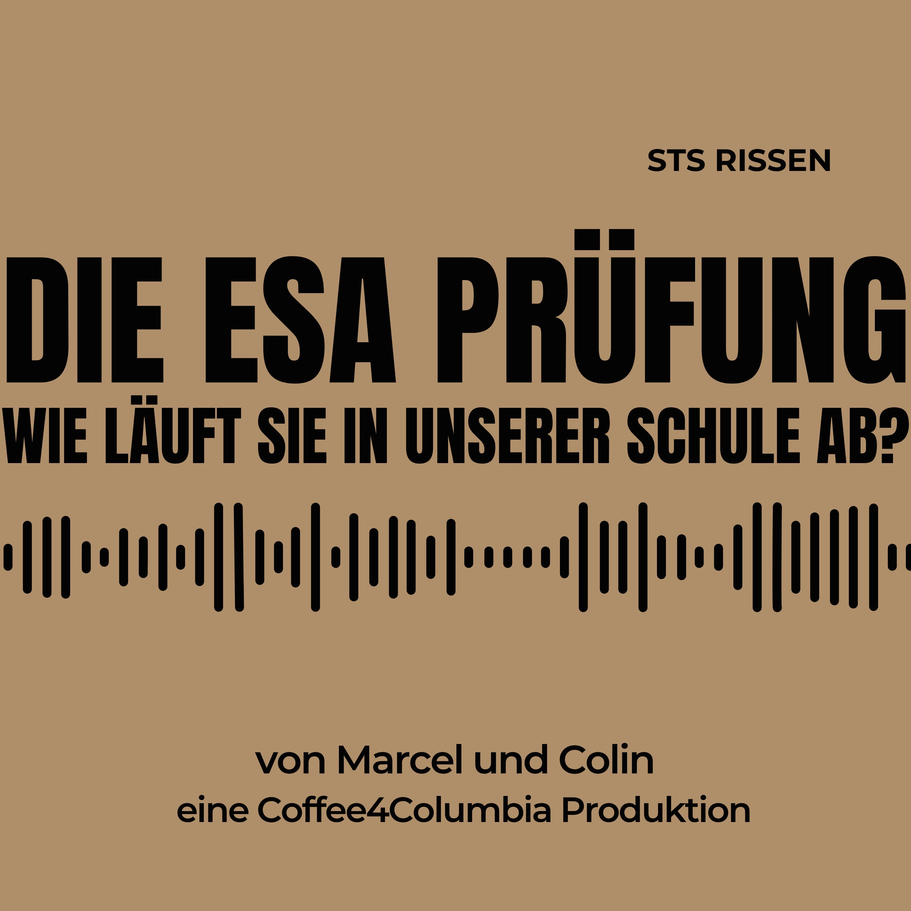 Wie läuft die ESA Prüfung in der Stadtteilschule Rissen ab. [S3, F6]
