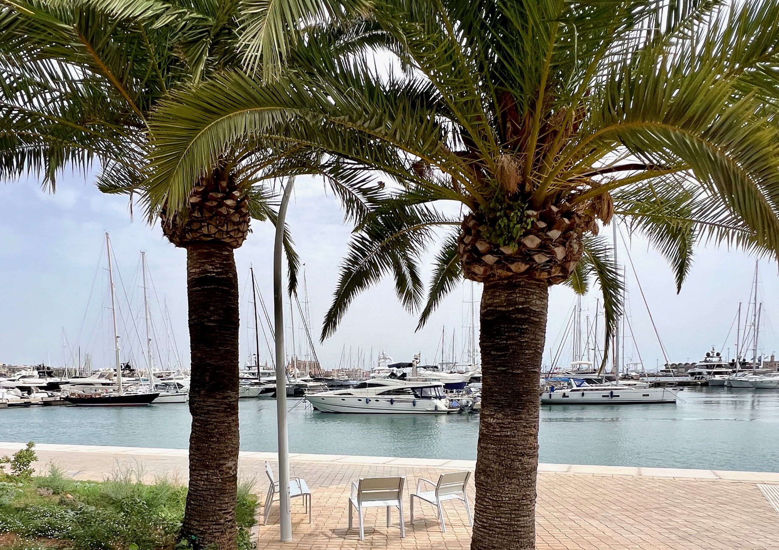 5 Minuten Mallorca | Nachrichten am 9. September 2025