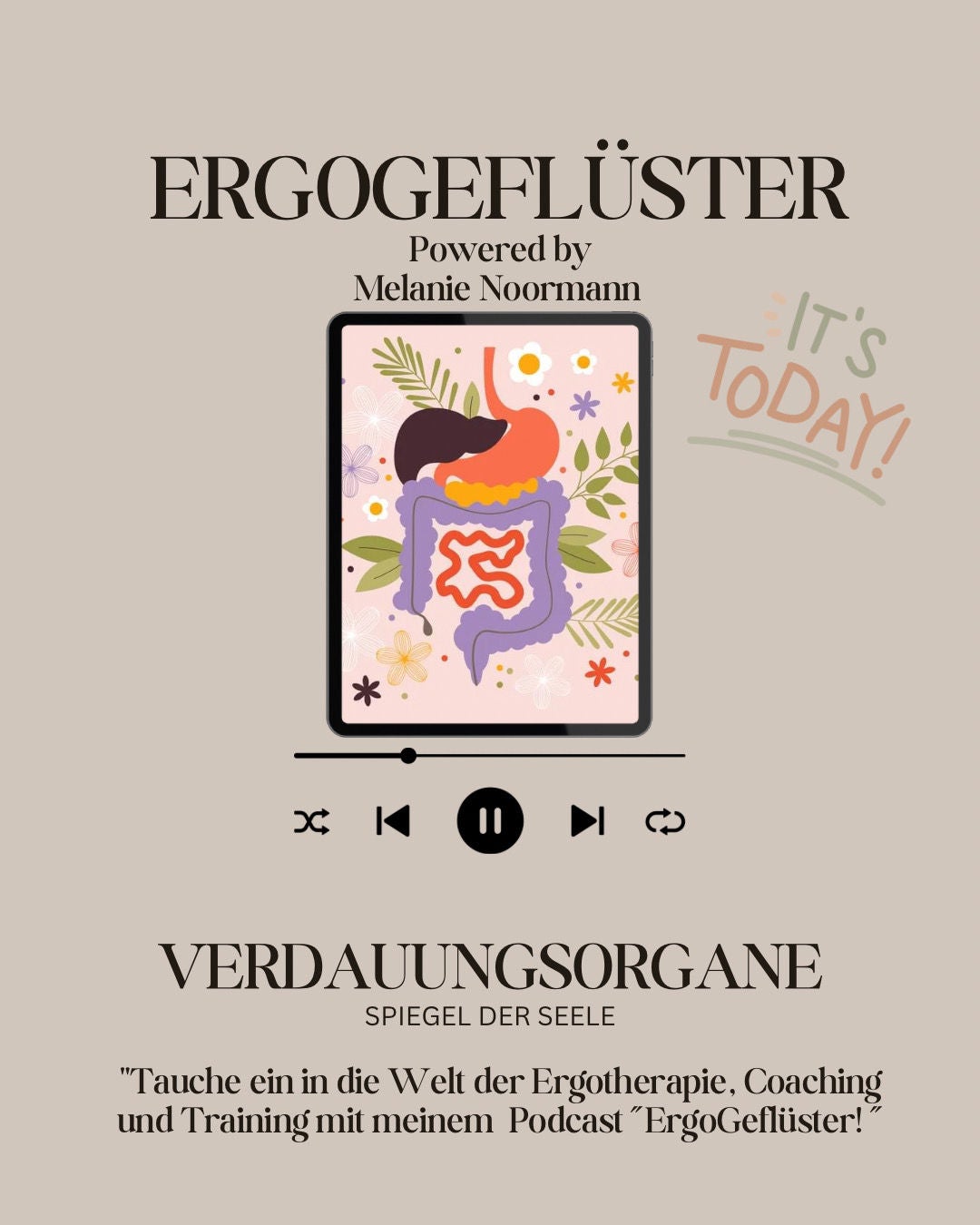 Verdauungsorgane aus ganzheitlicher Sicht