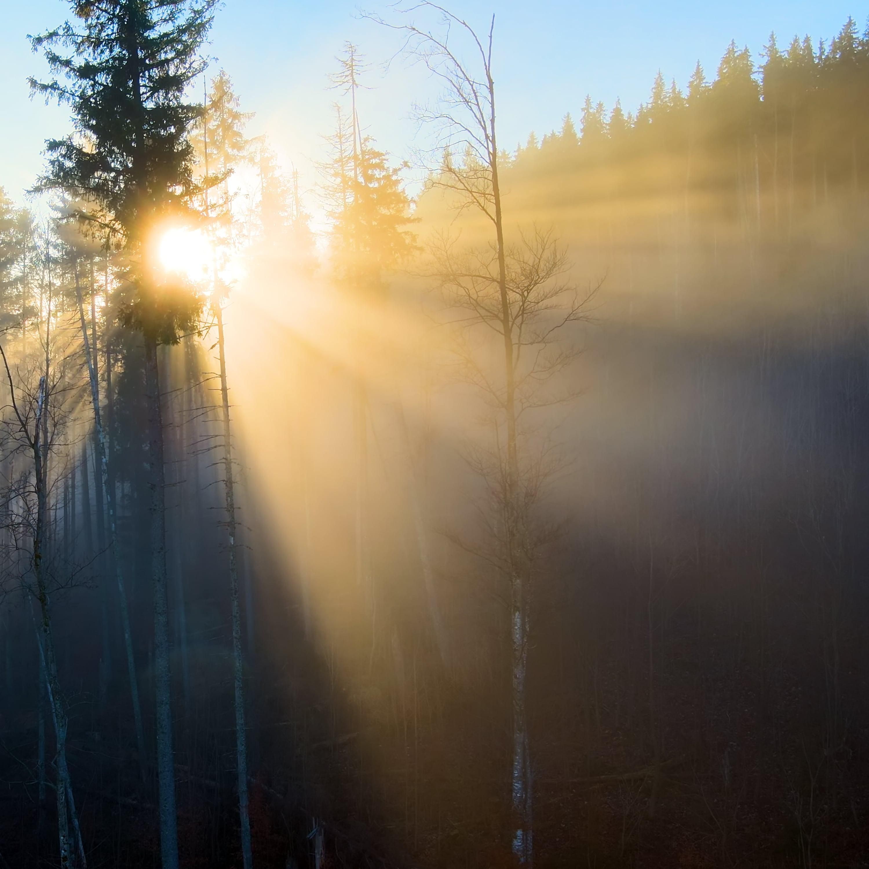 Jesus, Dein Licht