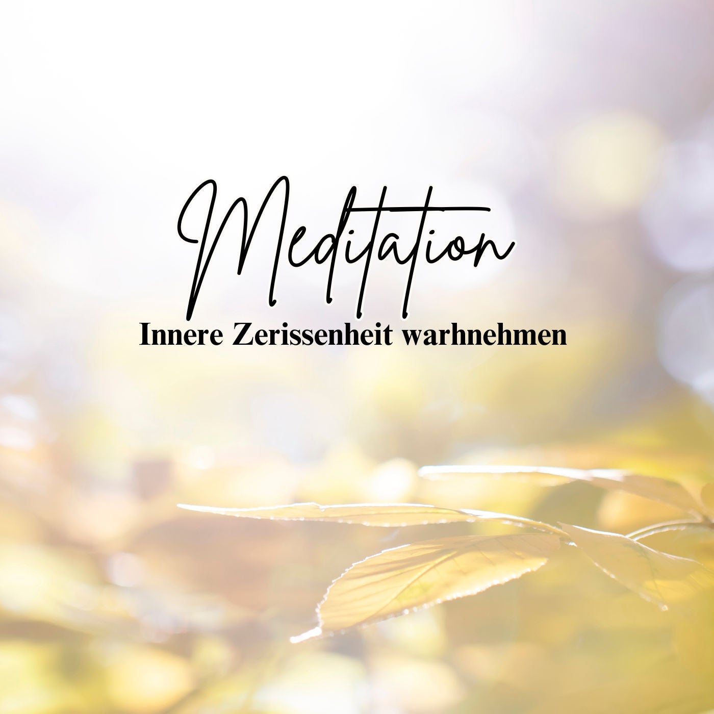 Zweite Staffel - Meditation Innere Zerrissenheit wahrnehmen