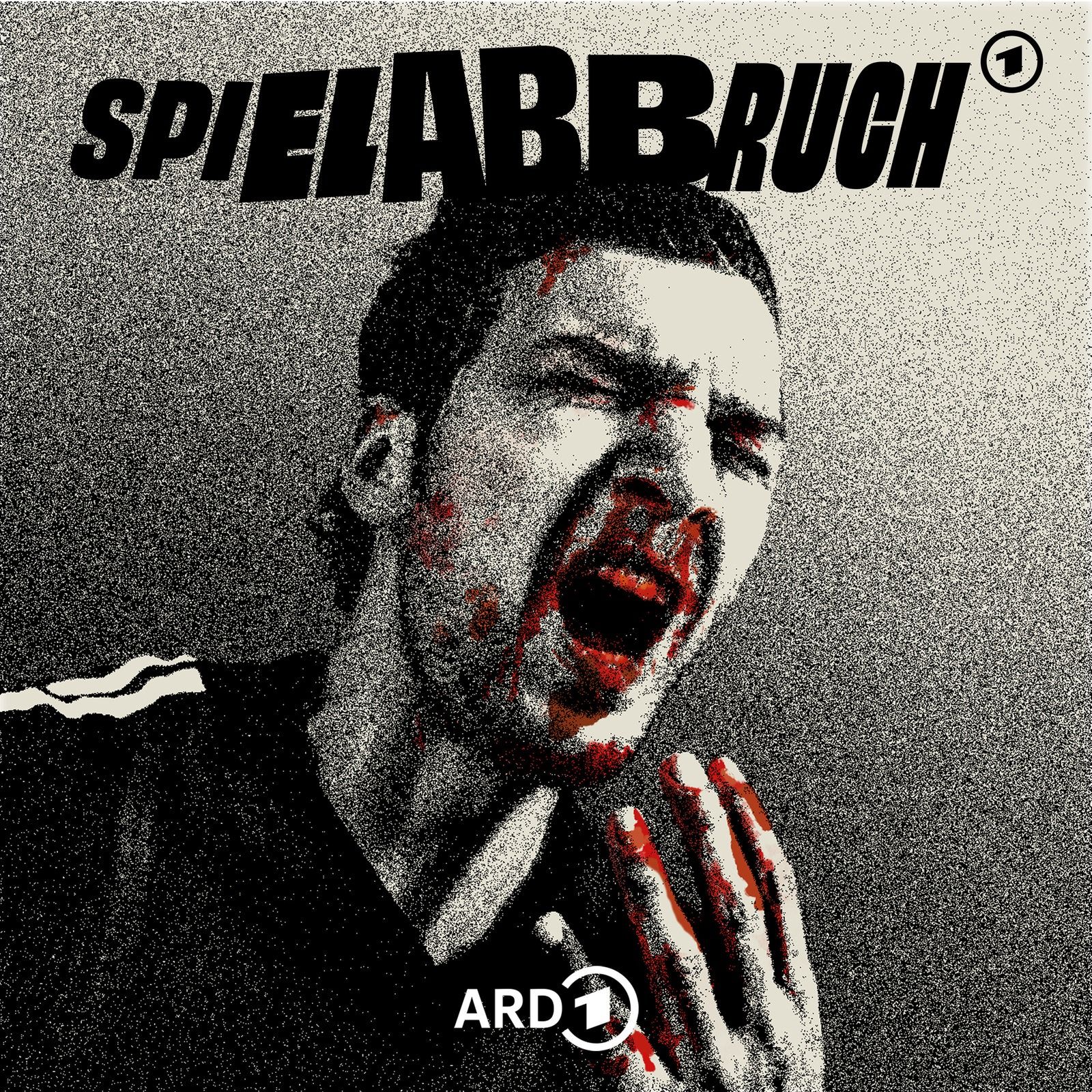 Spielabbruch – Macht Gewalt den Amateurfußball kaputt?