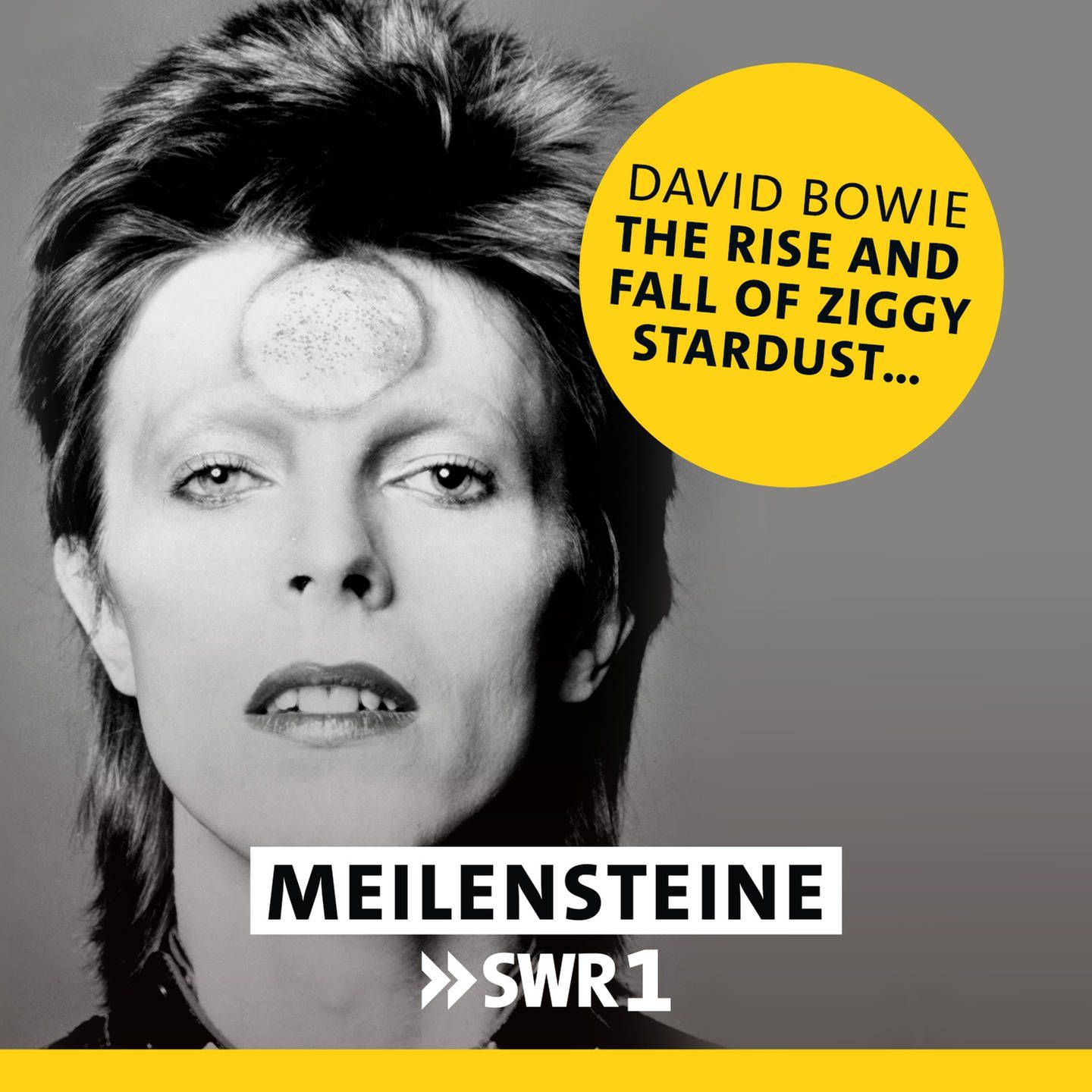 David Bowie – "The Rise And Fall Of Ziggy Stardust And The Spiders From Mars"
