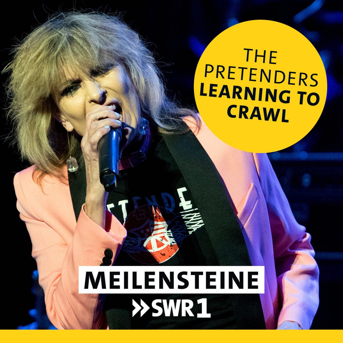 The Pretenders - "Learning To Crawl"