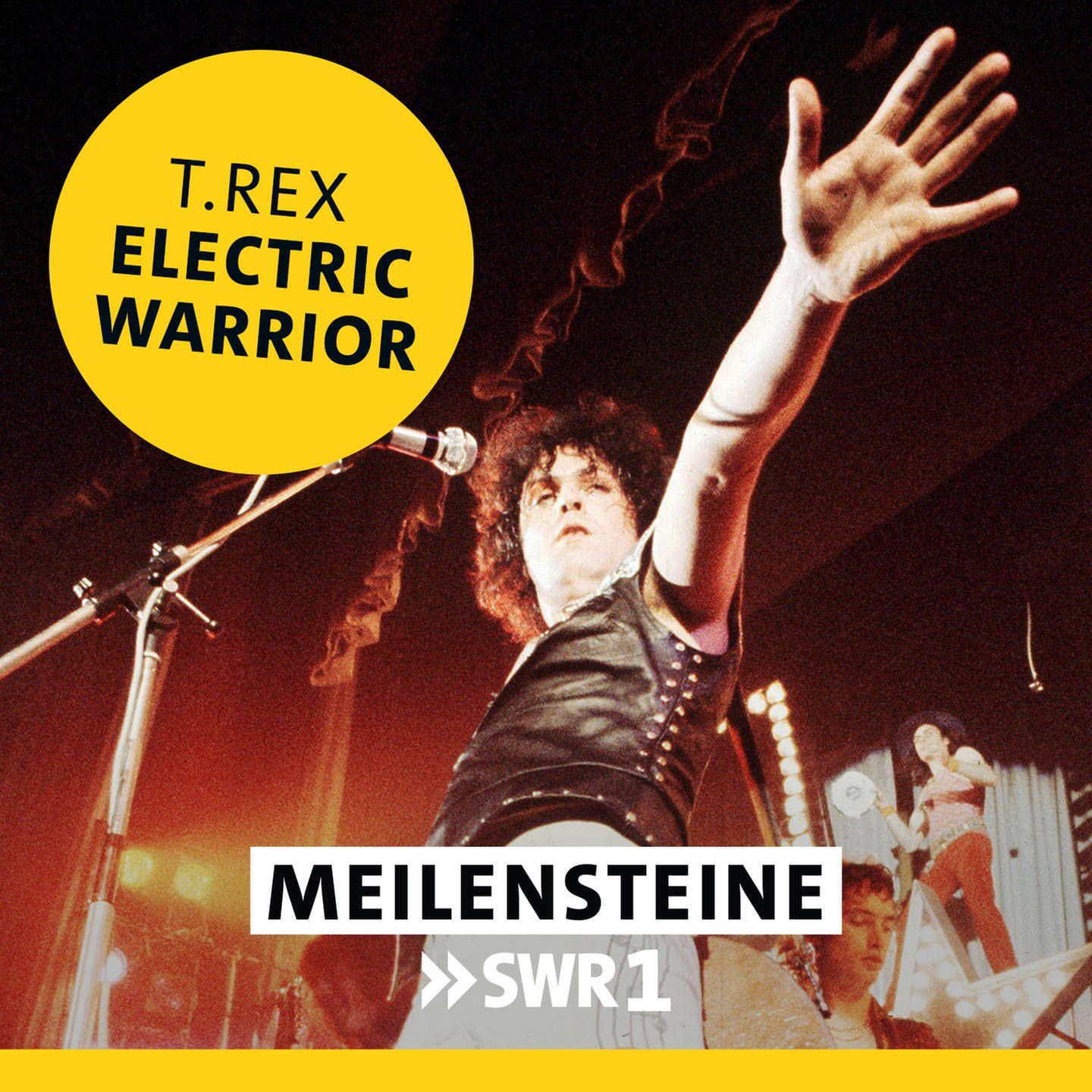 T. Rex - "Electric Warrior"