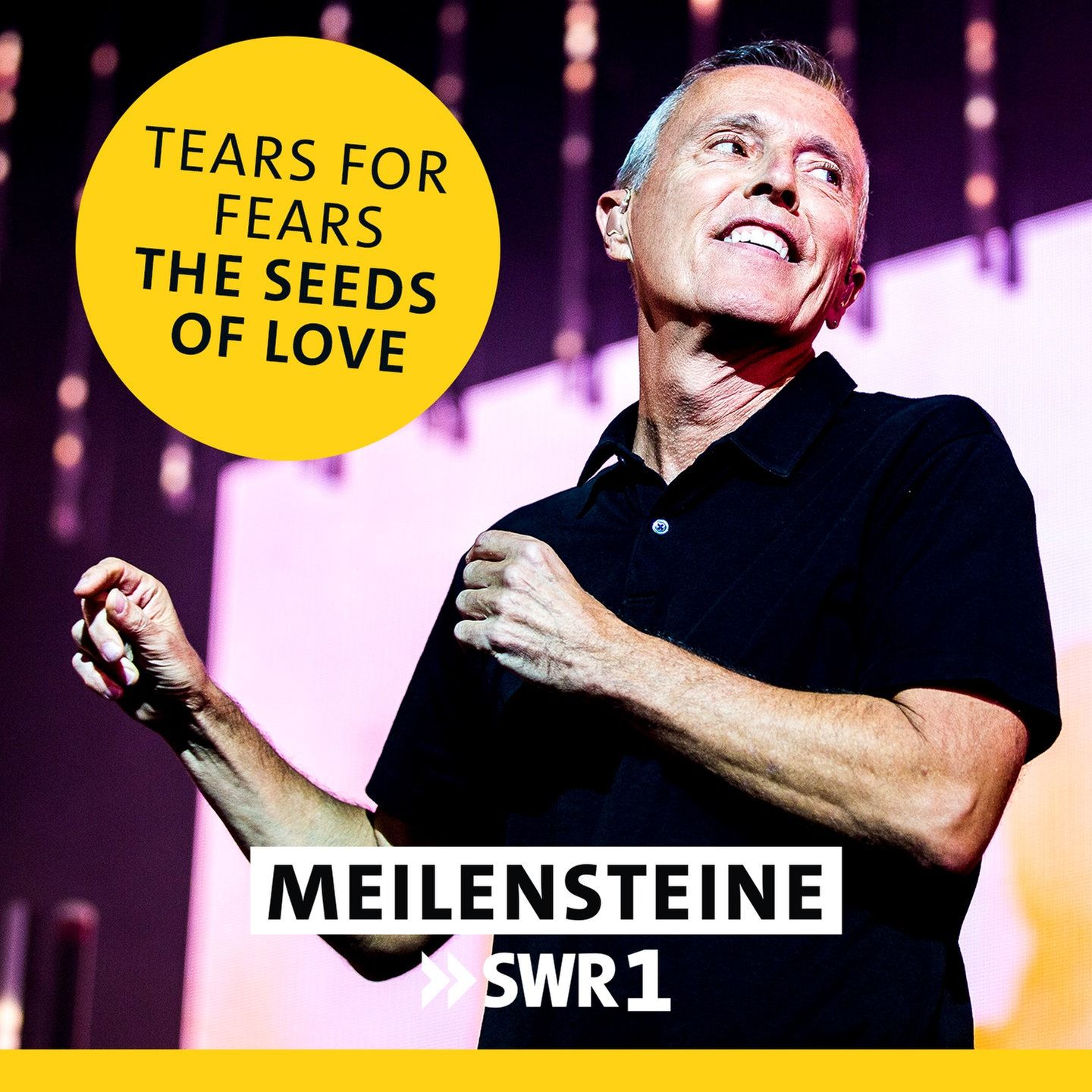 Tears For Fears - "The Seeds Of Love"