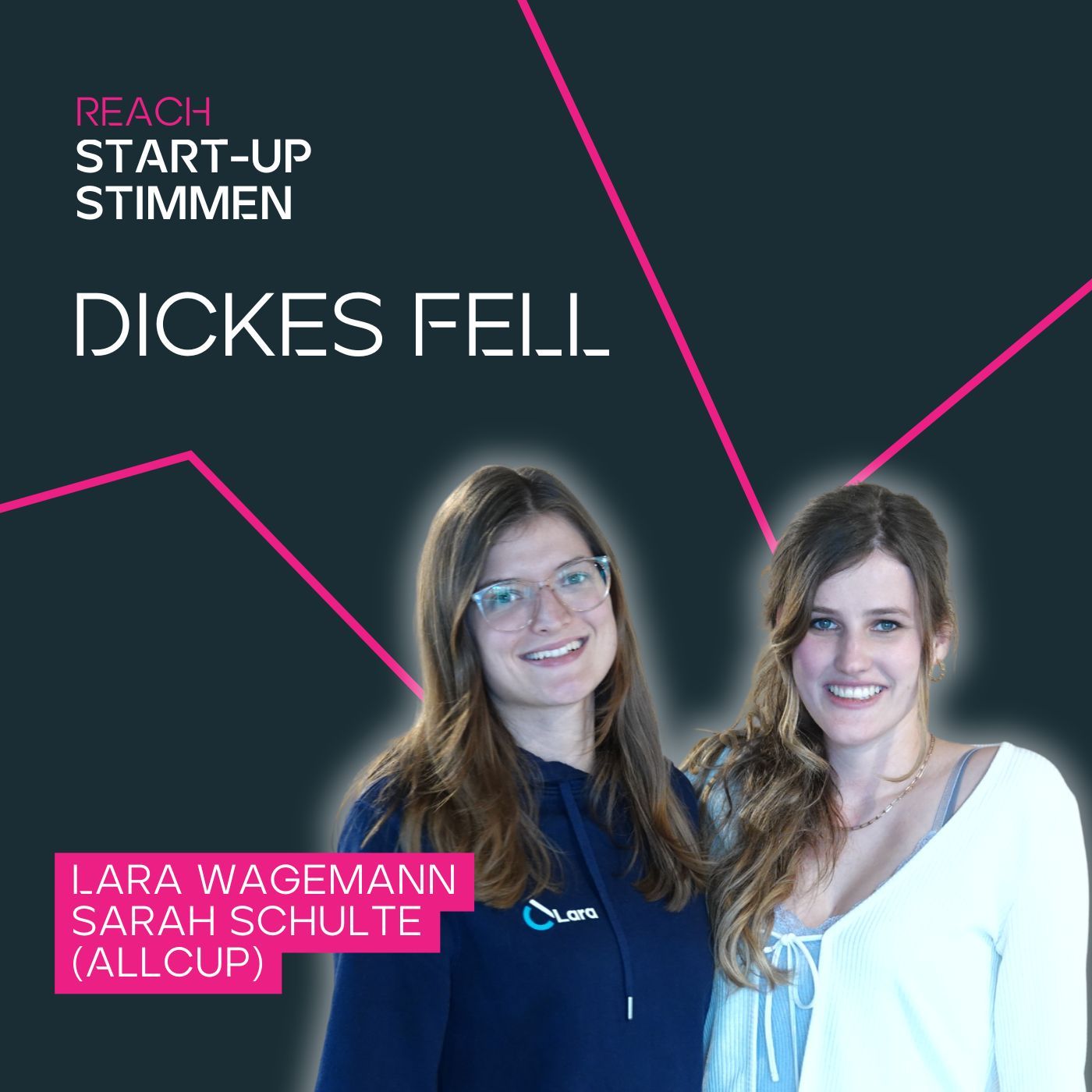 Dickes Fell