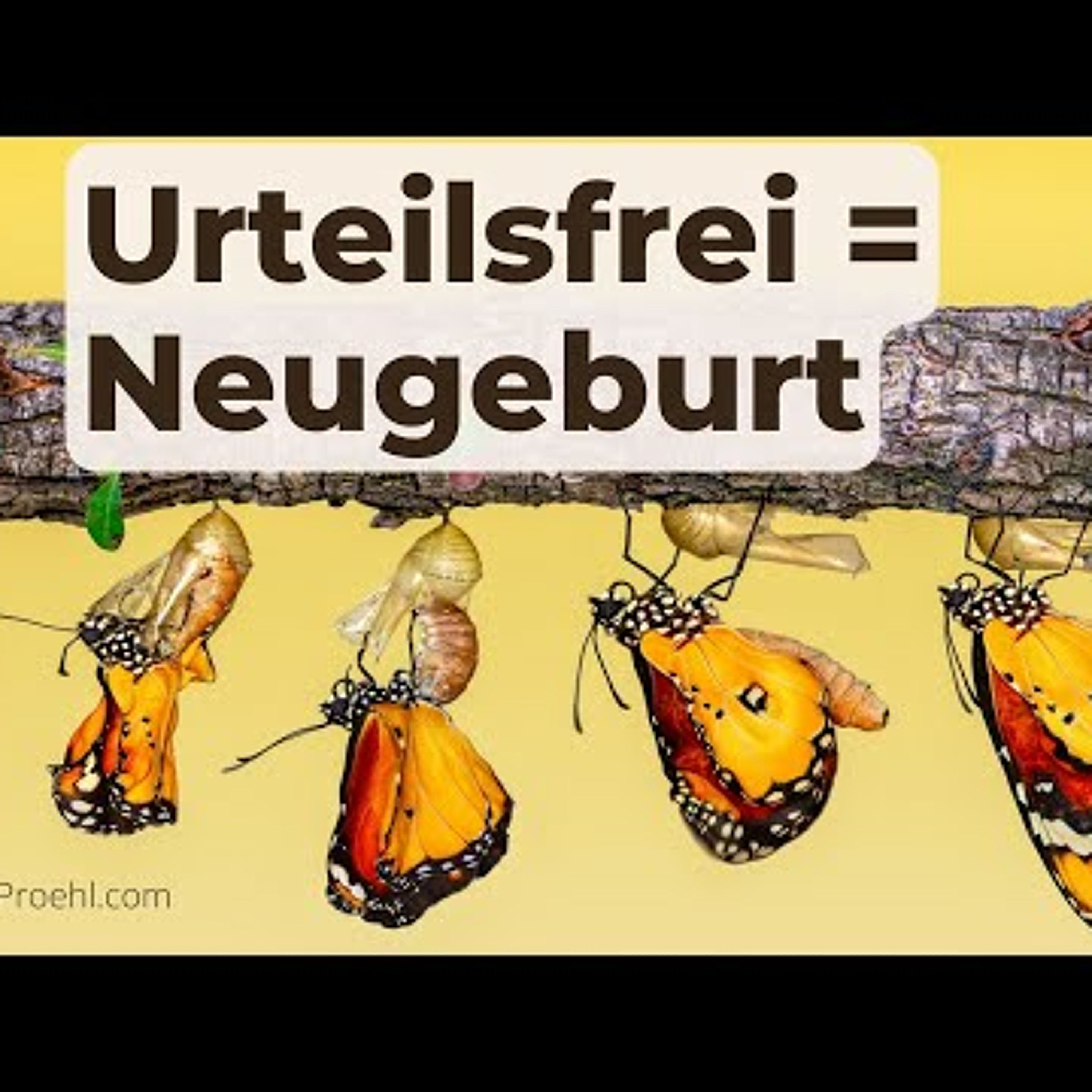 243 Heute will ich über nichts urteilen, was geschieht. #einkursinwundern