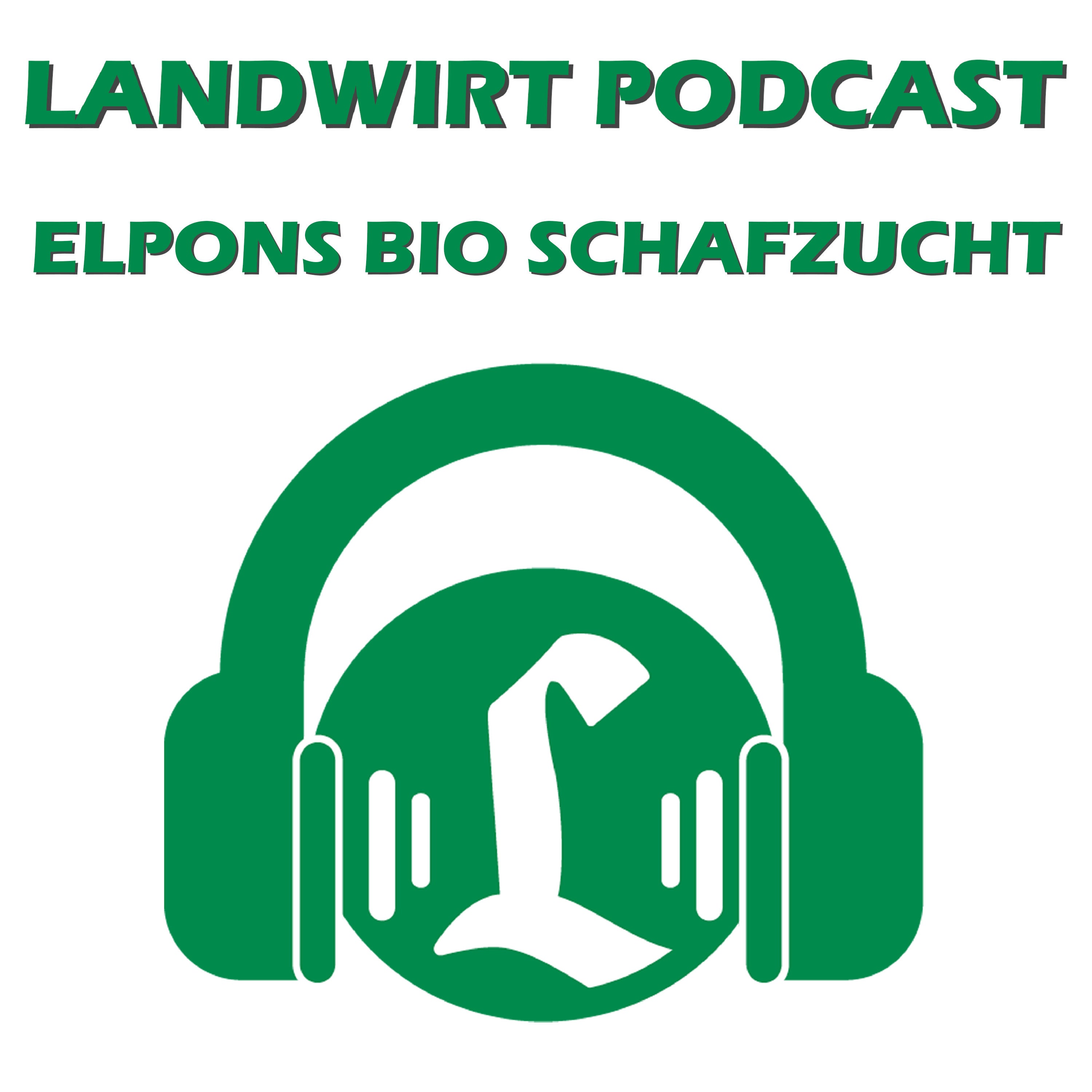 Elpons Bio Schafzucht