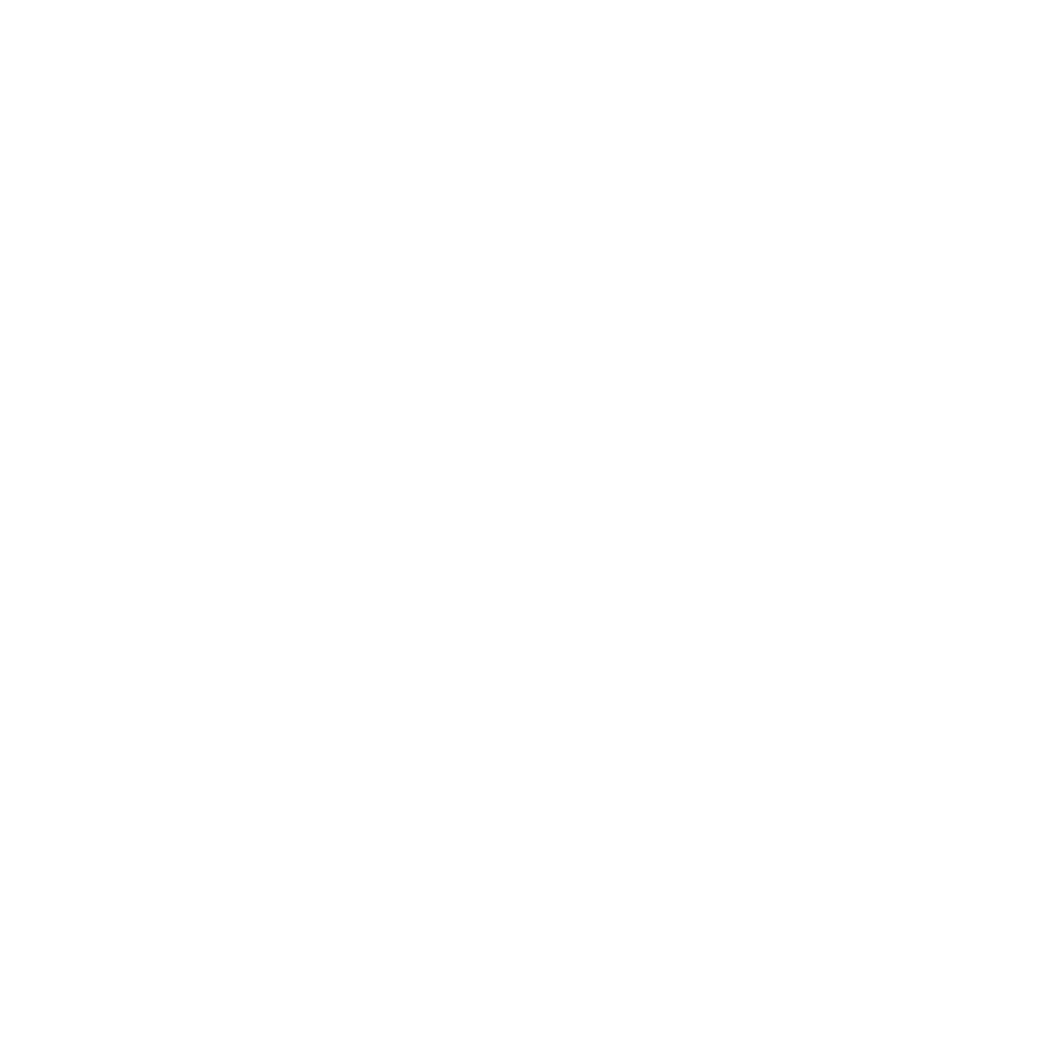 The Rookie