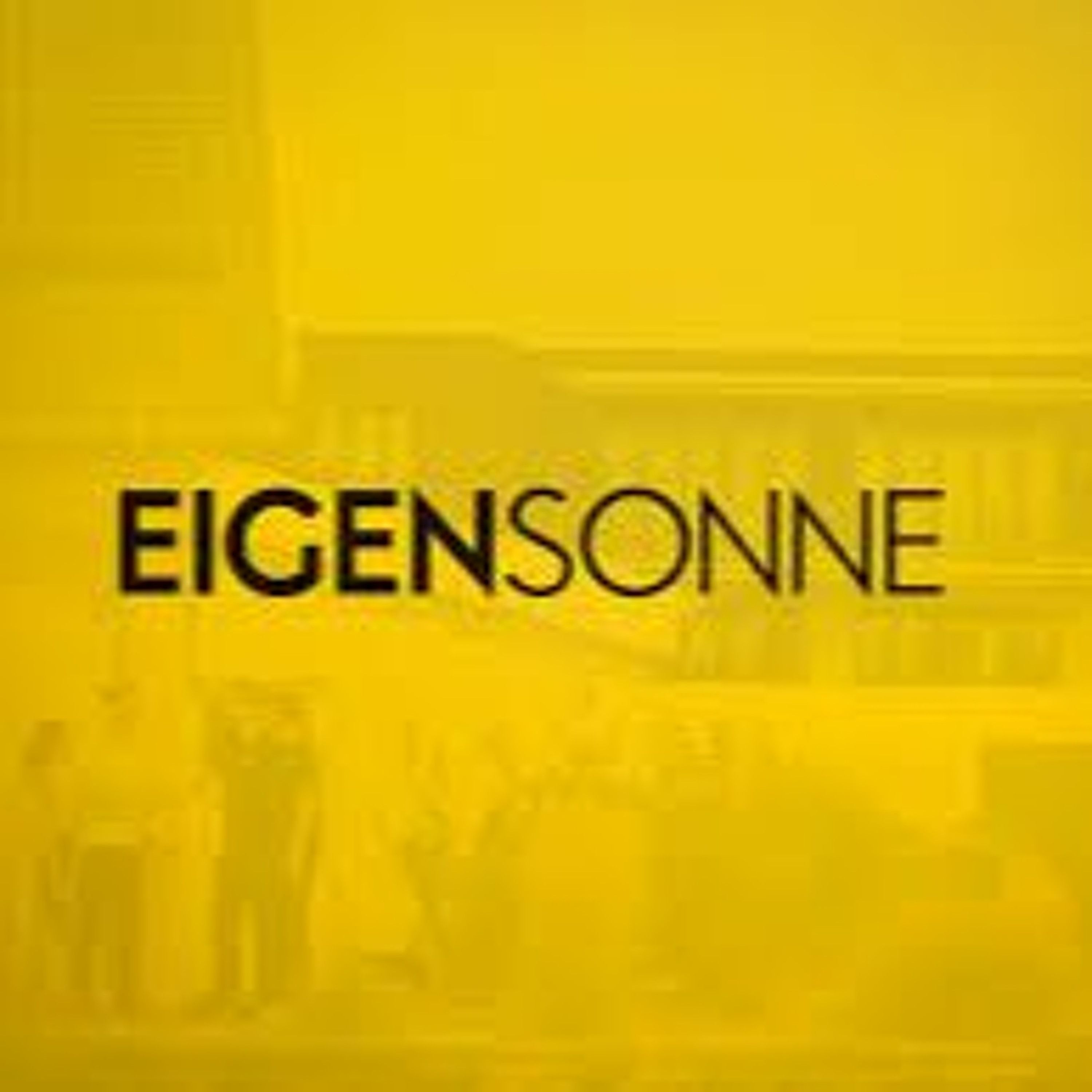 K#257 Augen auf beim Solaranlagenkauf :-) Eigensonne.de mit Michael Aigner