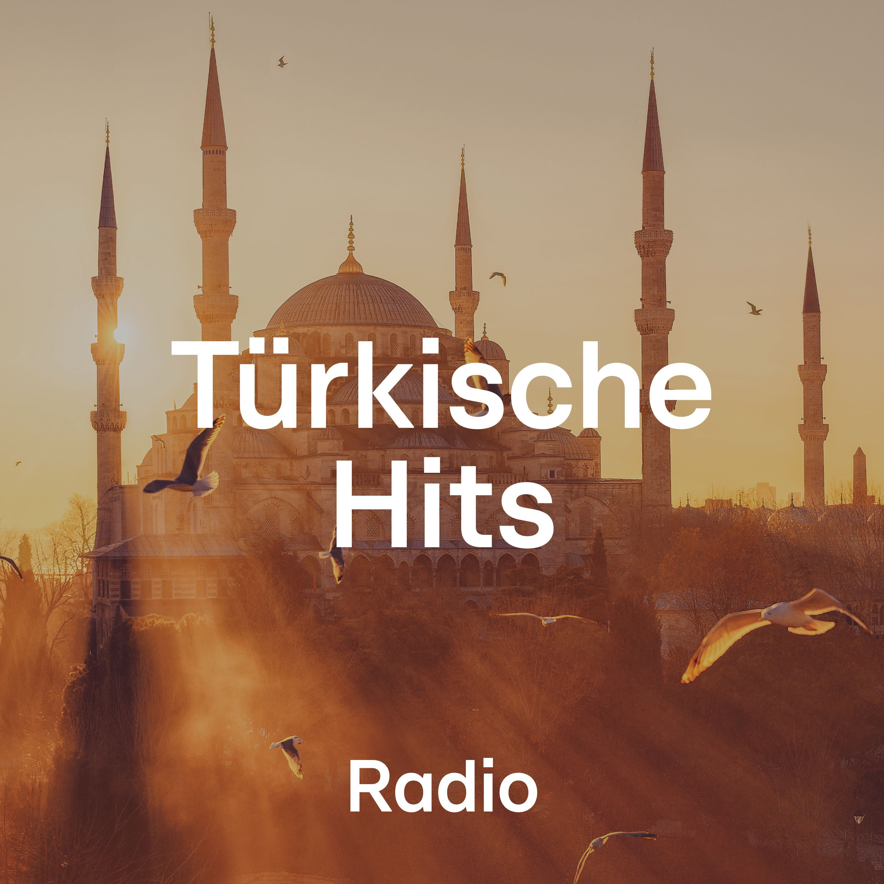 Türkische Hits Radio