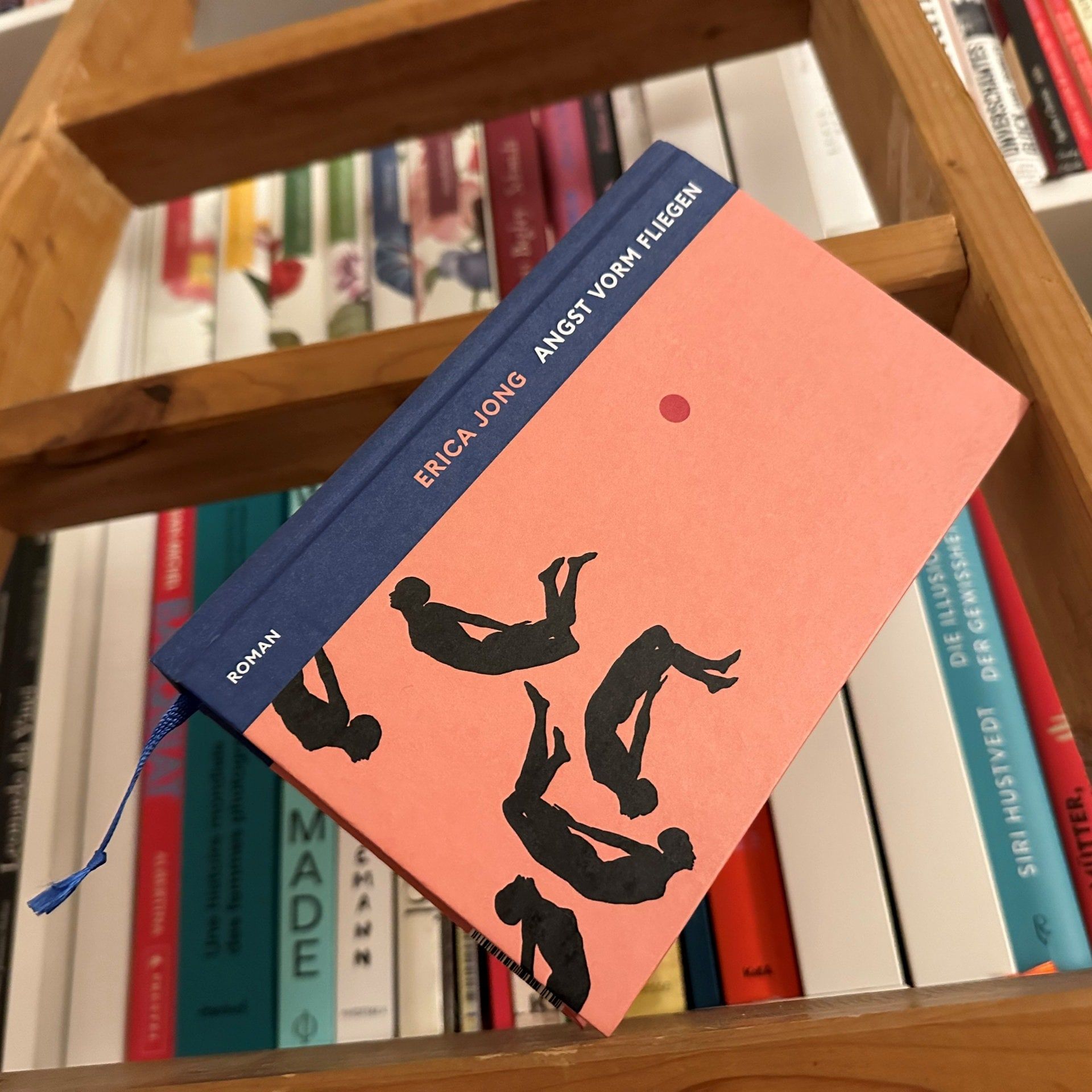 Erica Jong – Angst vorm Fliegen