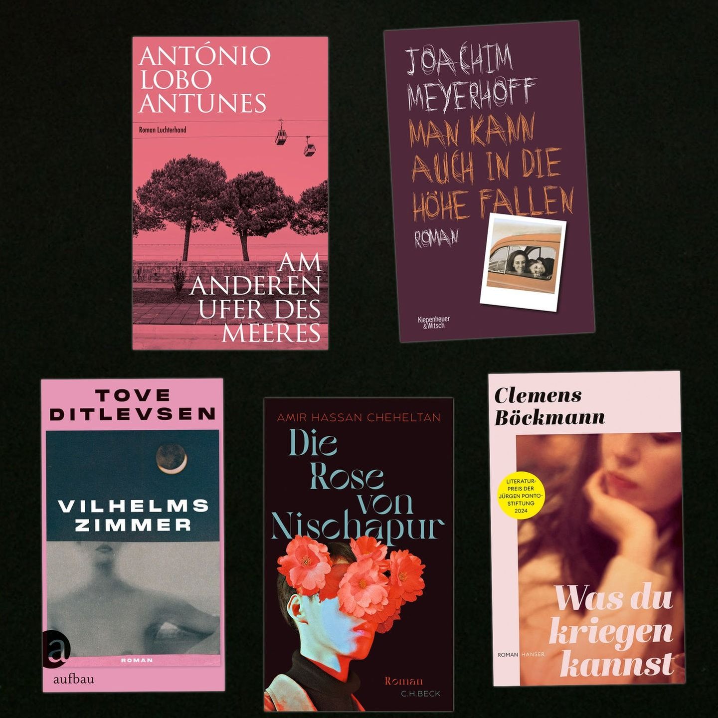 Bei Krisen aller Art hilft: Lesen! Bücher von Joachim Meyerhoff, Tove Ditlevsen und Clemens Böckmann