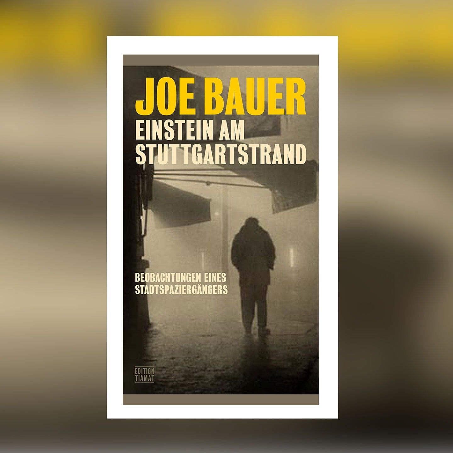 Joe Bauer – Einstein am Stuttgartstrand