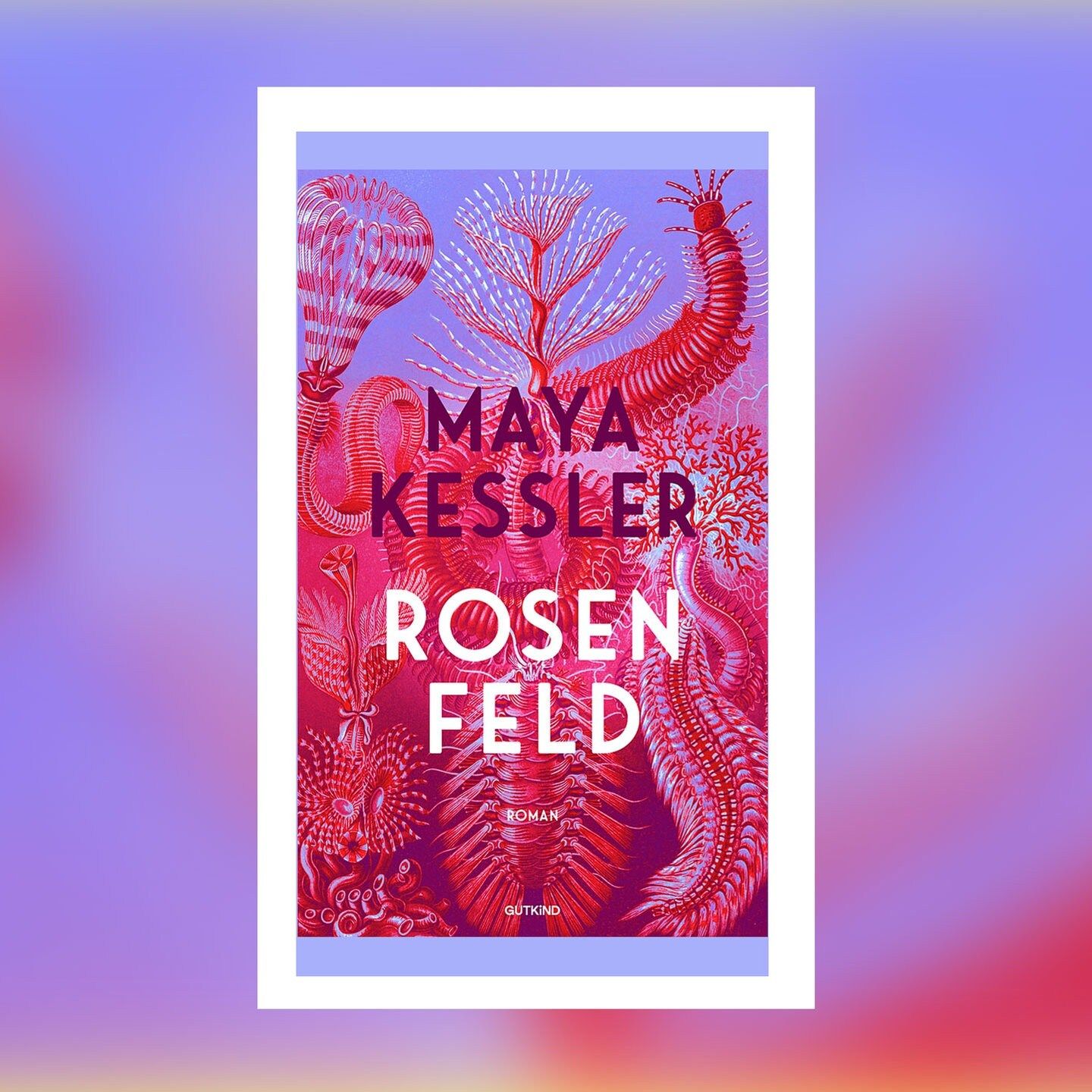 Maya Kessler – Rosenfeld | Buchkritik