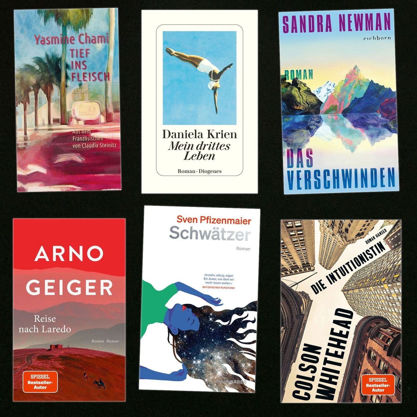 Meteoriten jagen in Brandenburg - Neue Bücher von Sven Pfizenmaier, Sandra Newman, Colson Whitehead, Daniela Krien und Arno Geiger