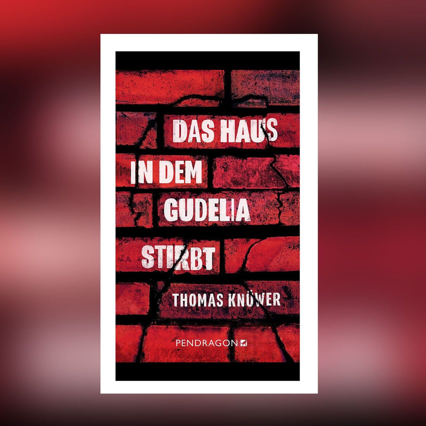 Thomas Knüwer – Das Haus in dem Gudelia stirbt