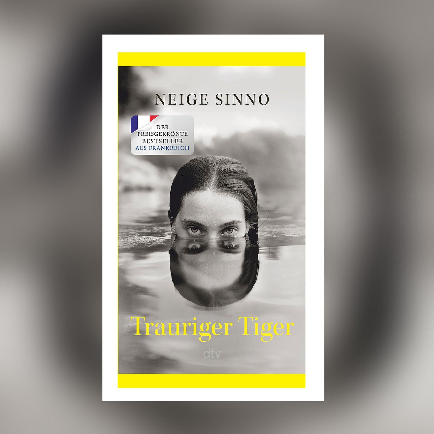 Neige Sinno – Trauriger Tiger