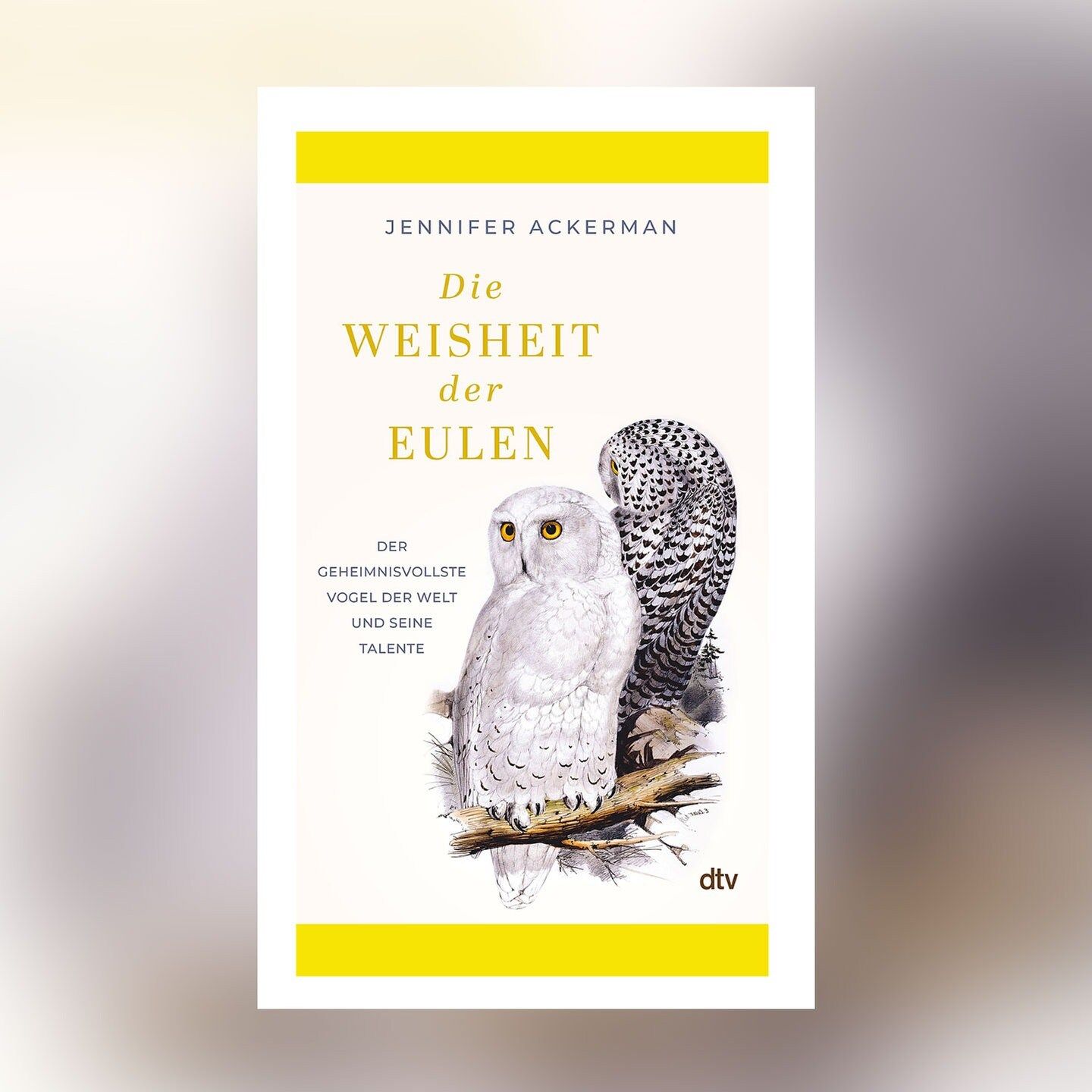 Jennifer Ackerman – Die Weisheit der Eulen | Buchkritik