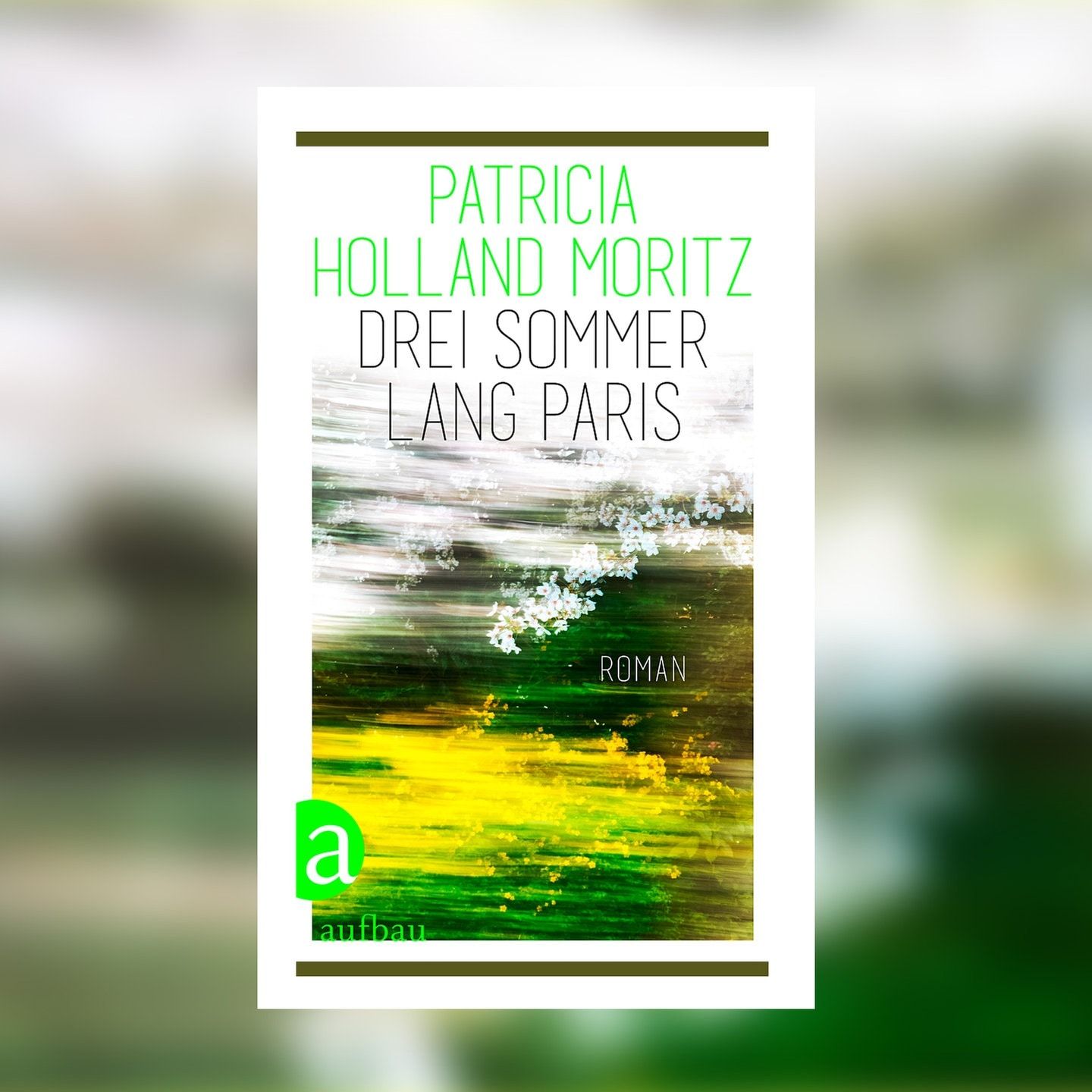 Patricia Holland Moritz – Drei Sommer lang Paris