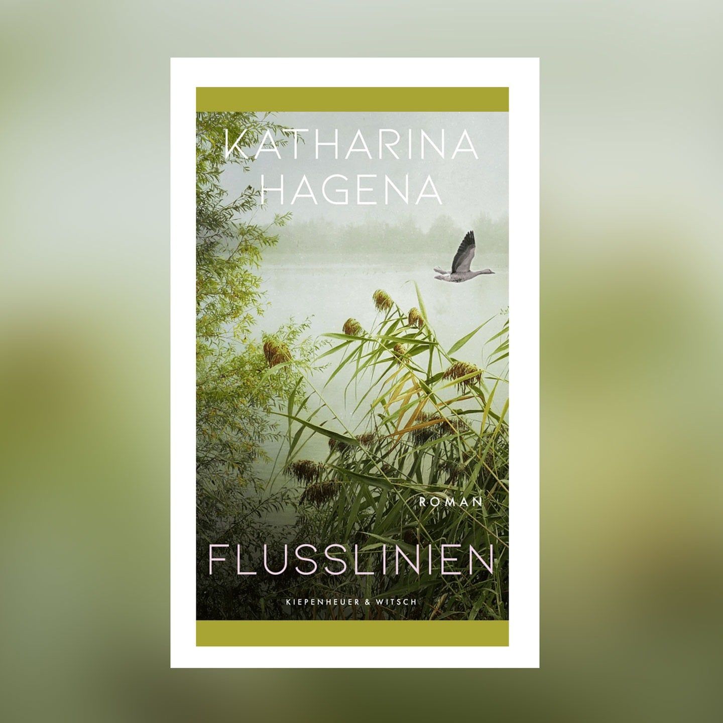 Katharina Hagena – Flusslinien