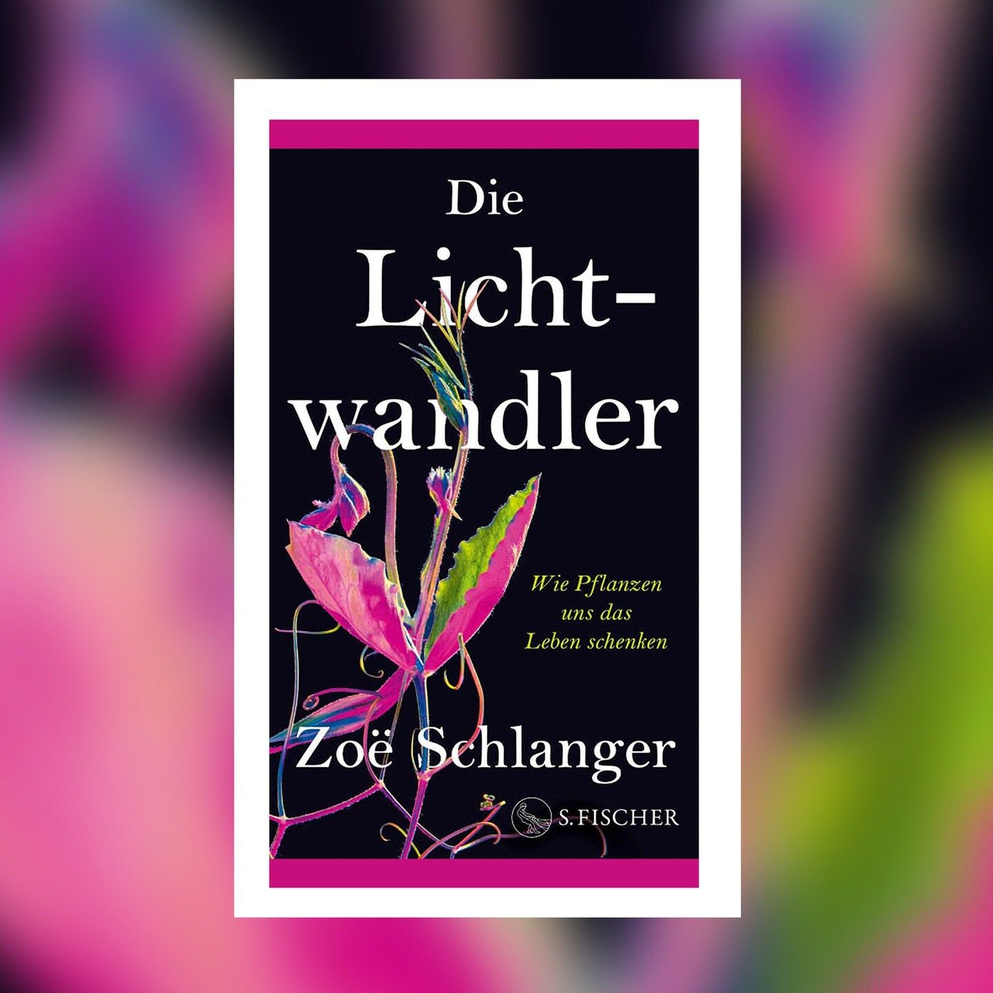 Zoë Schlanger – Die Lichtwandler