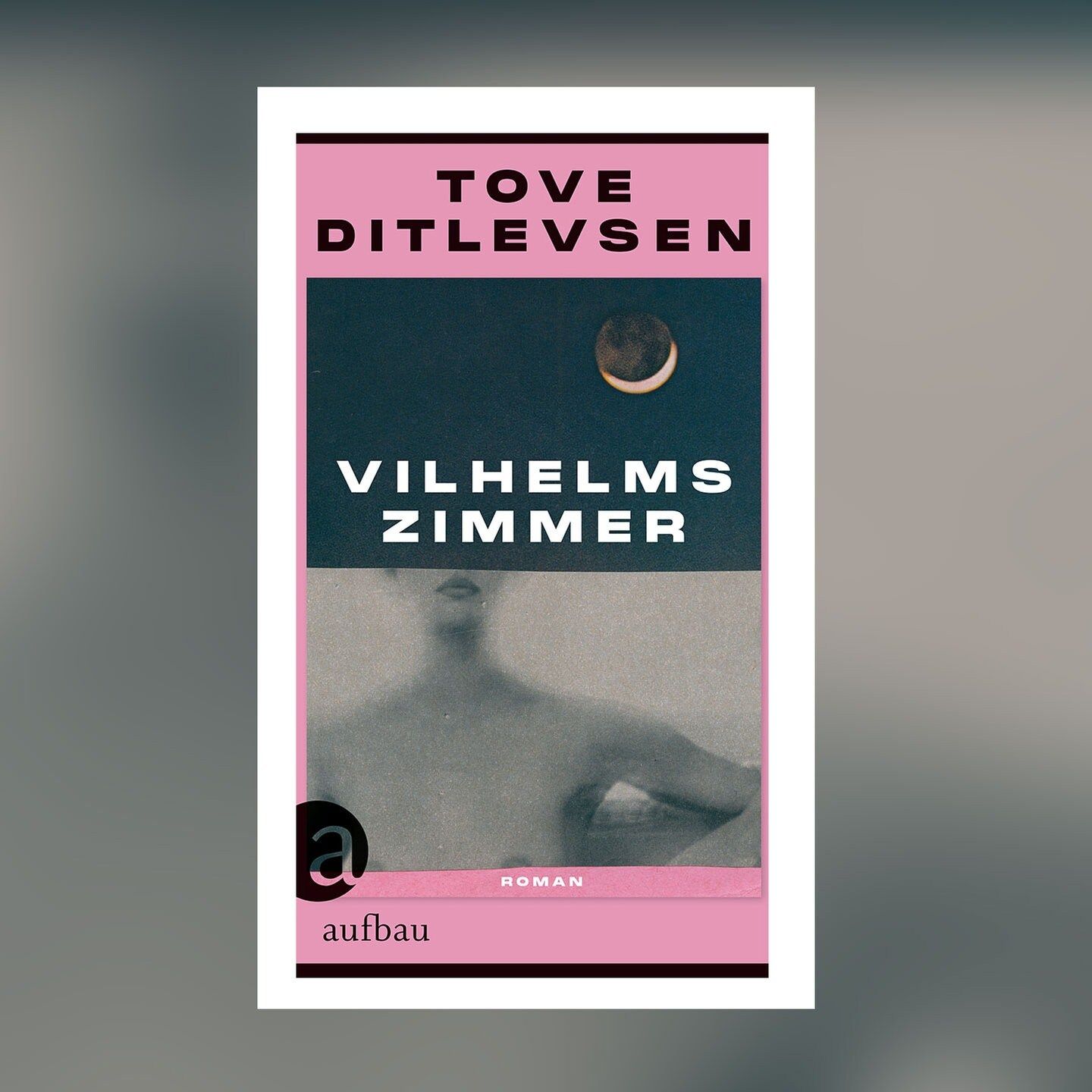 Tove Ditlevsen – Vilhelms Zimmer | Gespräch