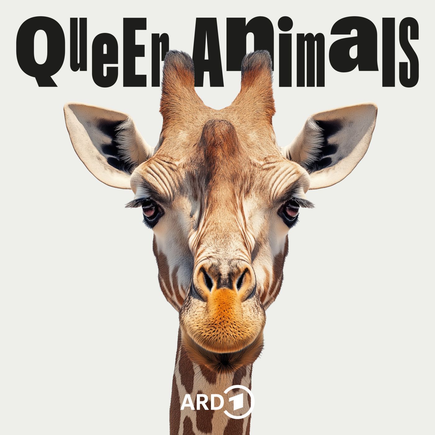 Giraffe - Das schwulste Tier der Welt?