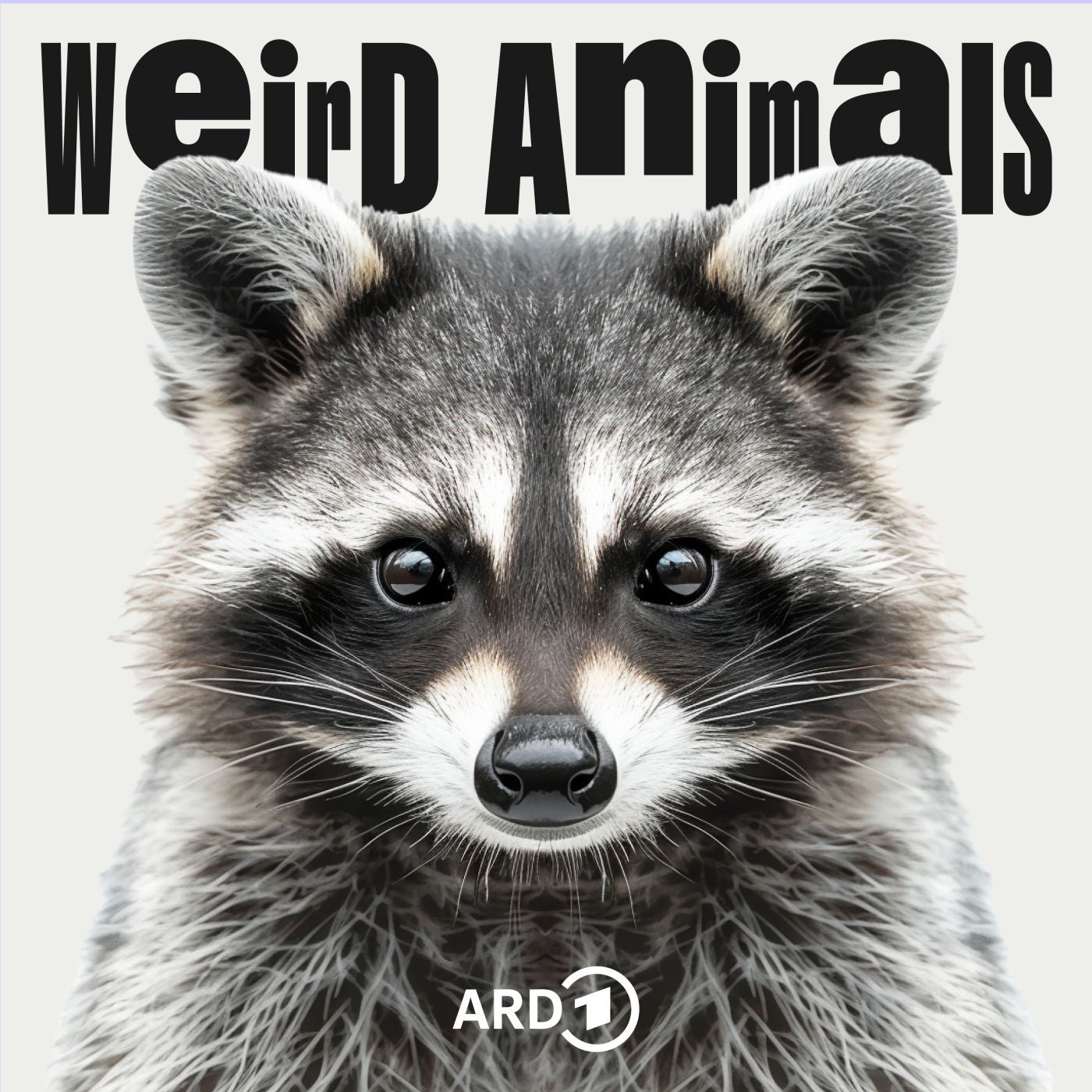 Waschbär - Was hat er mit Nazis zu tun?