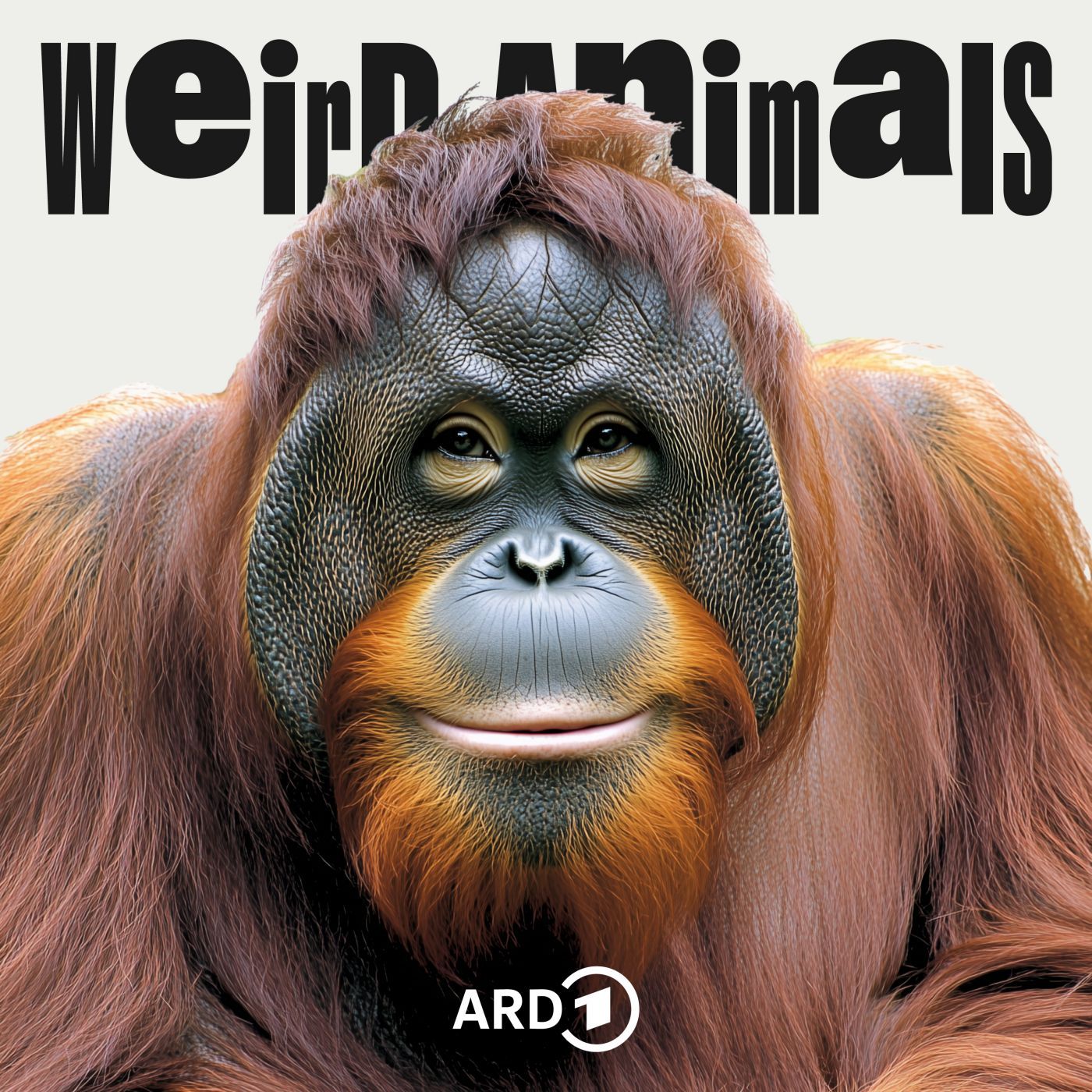 Orang-Utan: Der Ursprung des Schnögelrögels? (LIVE aus Berlin)