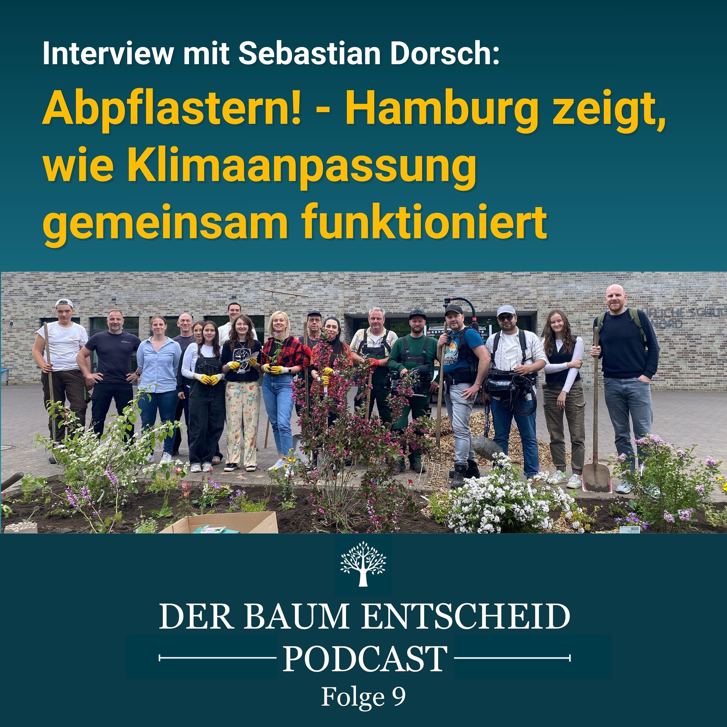 Abpflastern: Hamburg zeigt, wie Klimaanpassung gemeinsam funktioniert