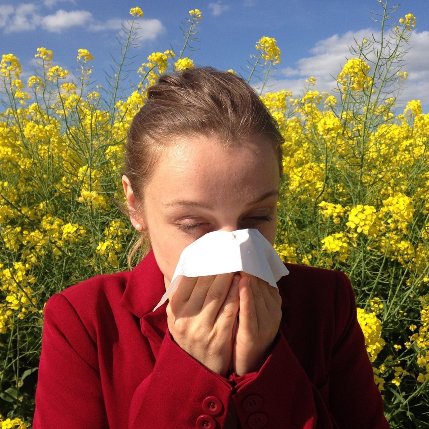 Allergien verstehen und natürlich behandeln