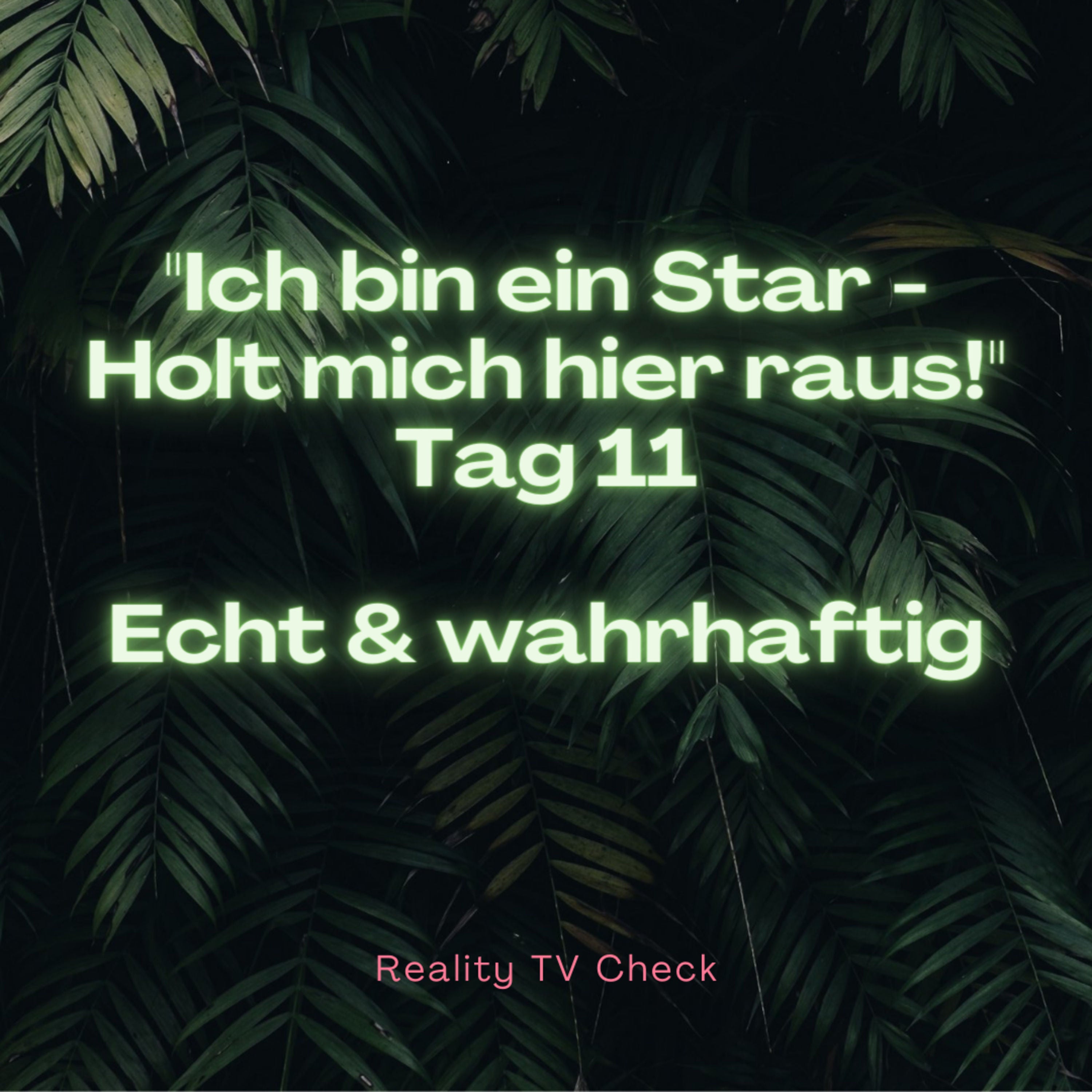 Dschungelcamp 2022 Special Tag 11 - Echt & wahrhaftig