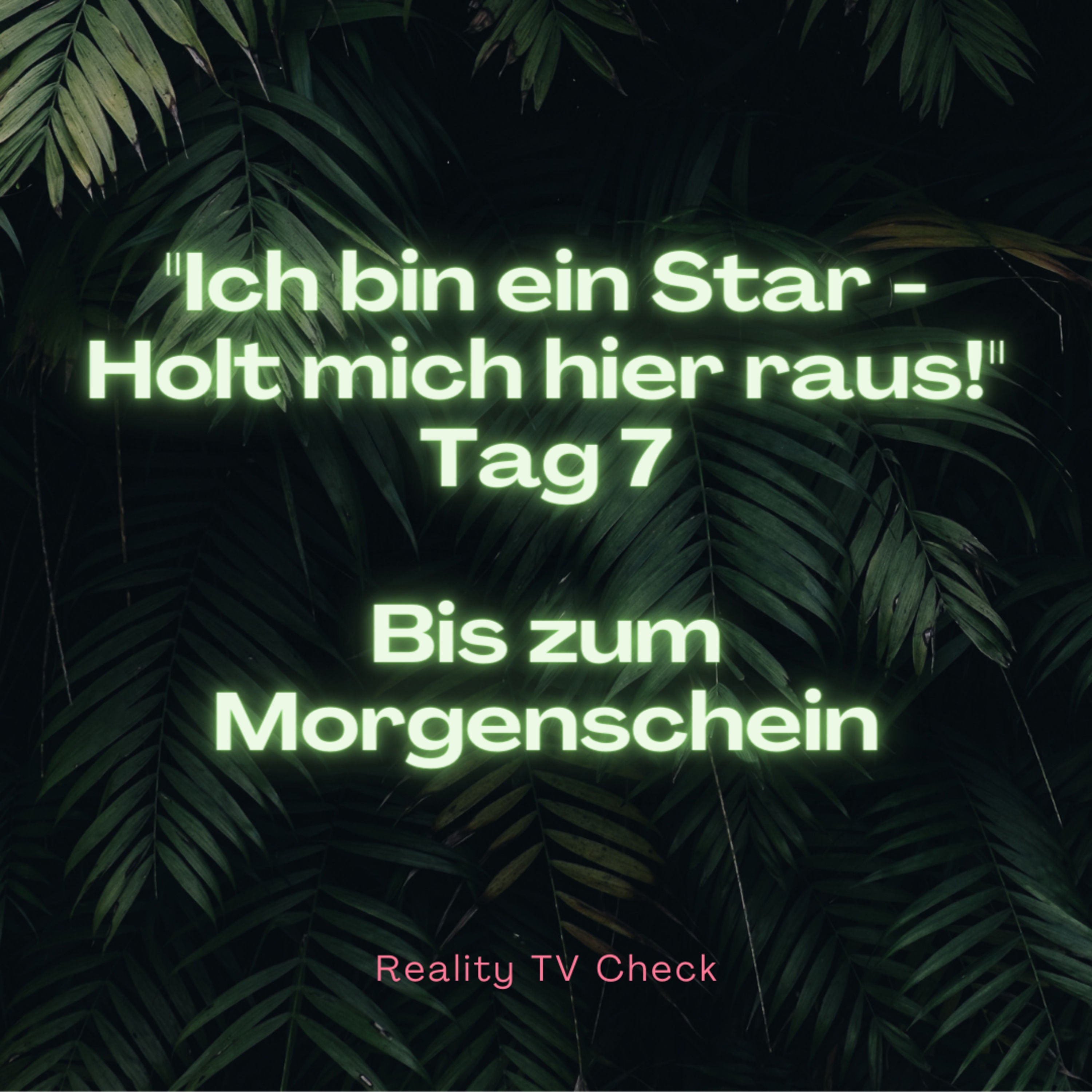 Dschungelcamp 2022 Special Tag 7 - Bis zum Morgenschein