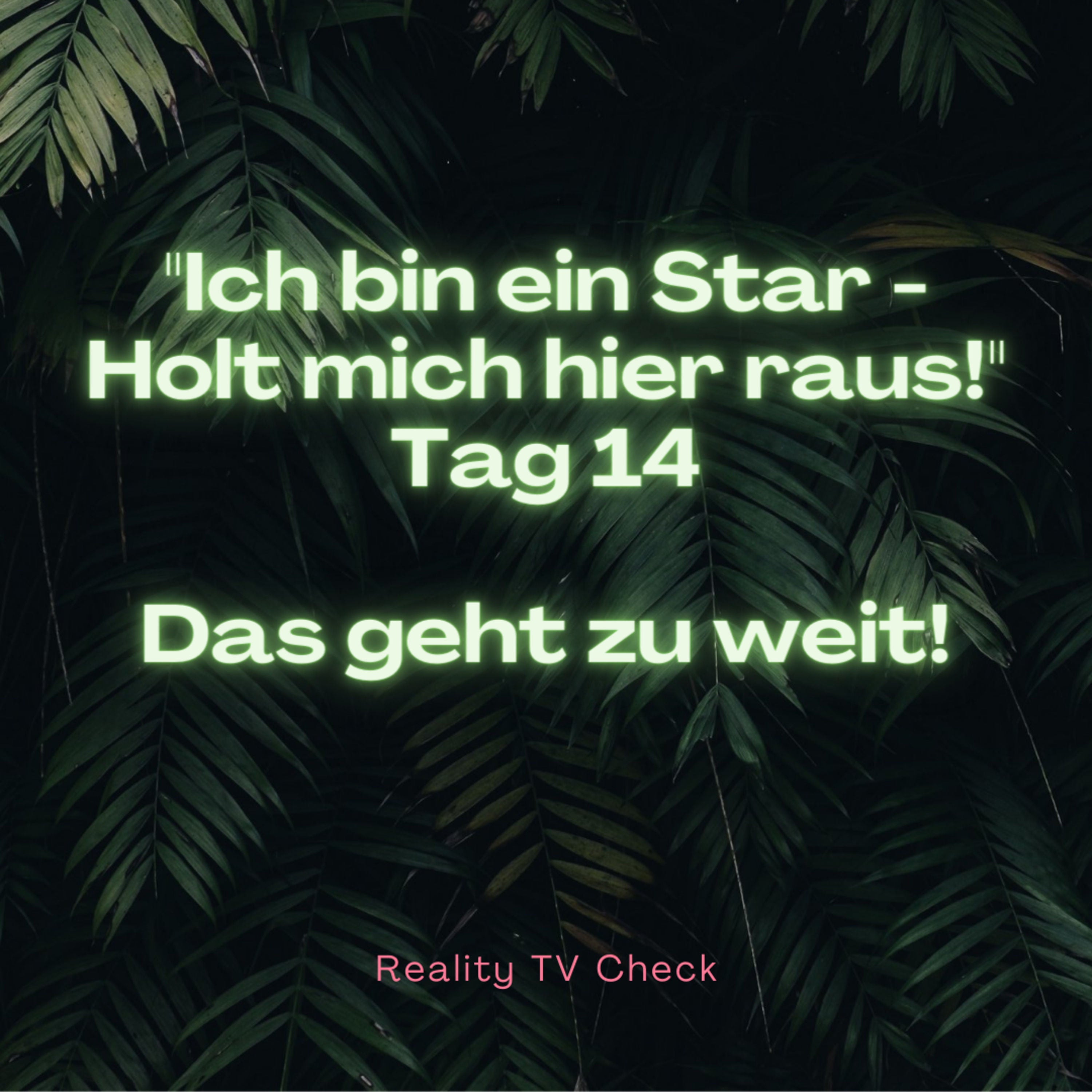 Dschungelcamp 2022 Special Tag 14 - Das geht zu weit!