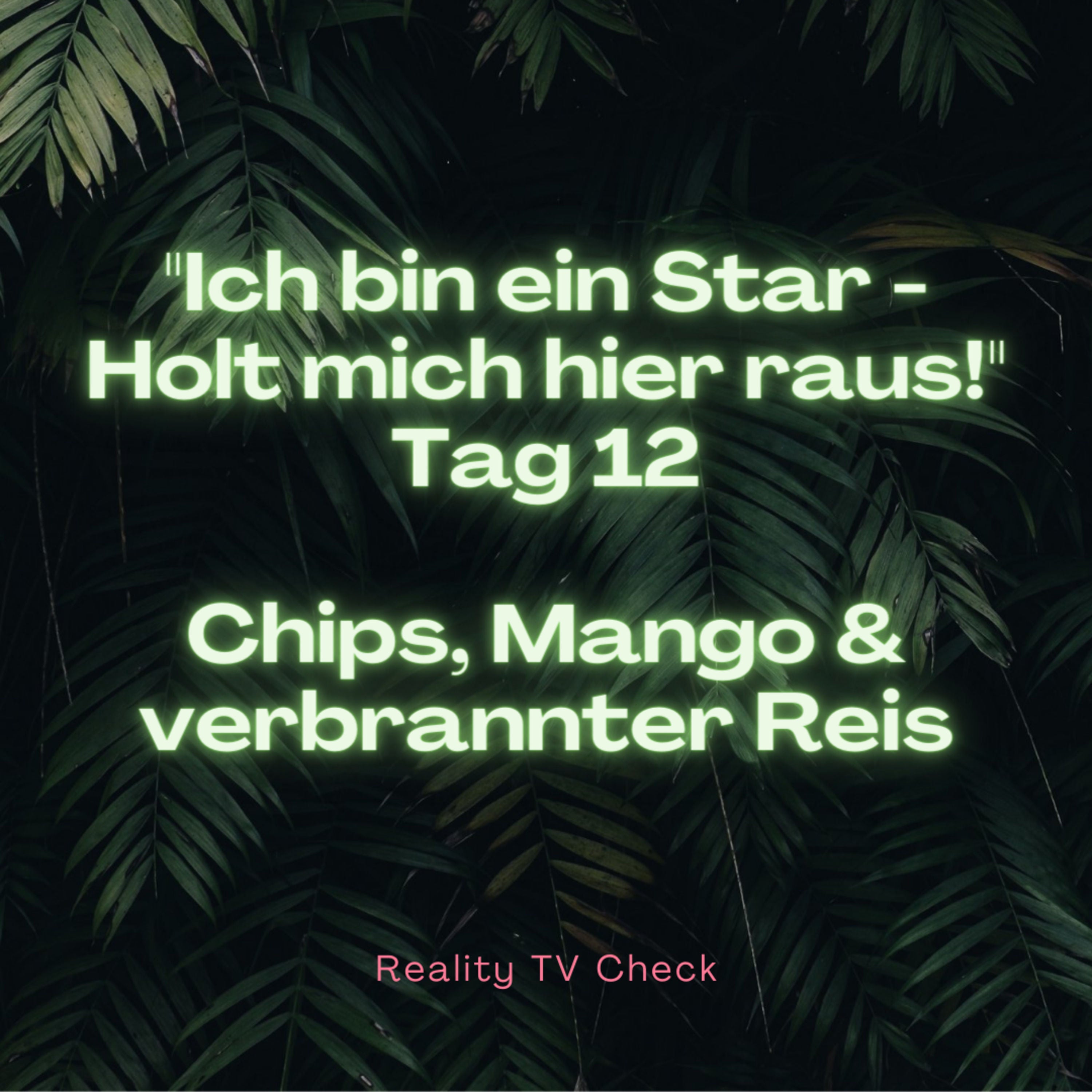Dschungelcamp 2022 Special Tag 12 - Chips, Mangos & verbrannter Reis