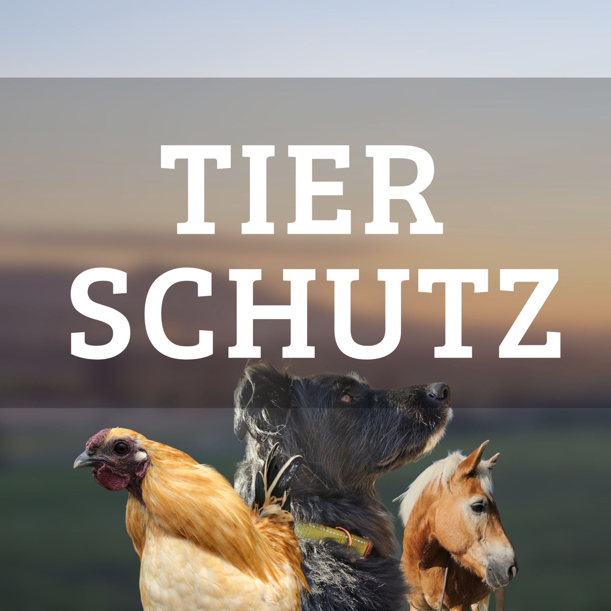 Tierschützerherzen mit Serap, Sabine & Pia